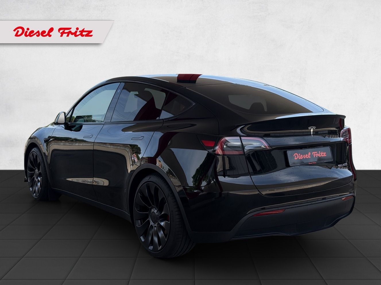 TESLA Model Y Performance-showroom-element-2