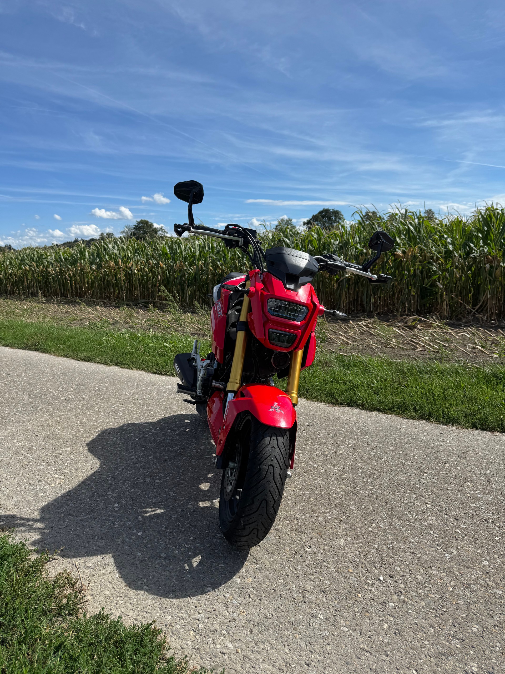 HONDA MSX 125 ABS-image-3