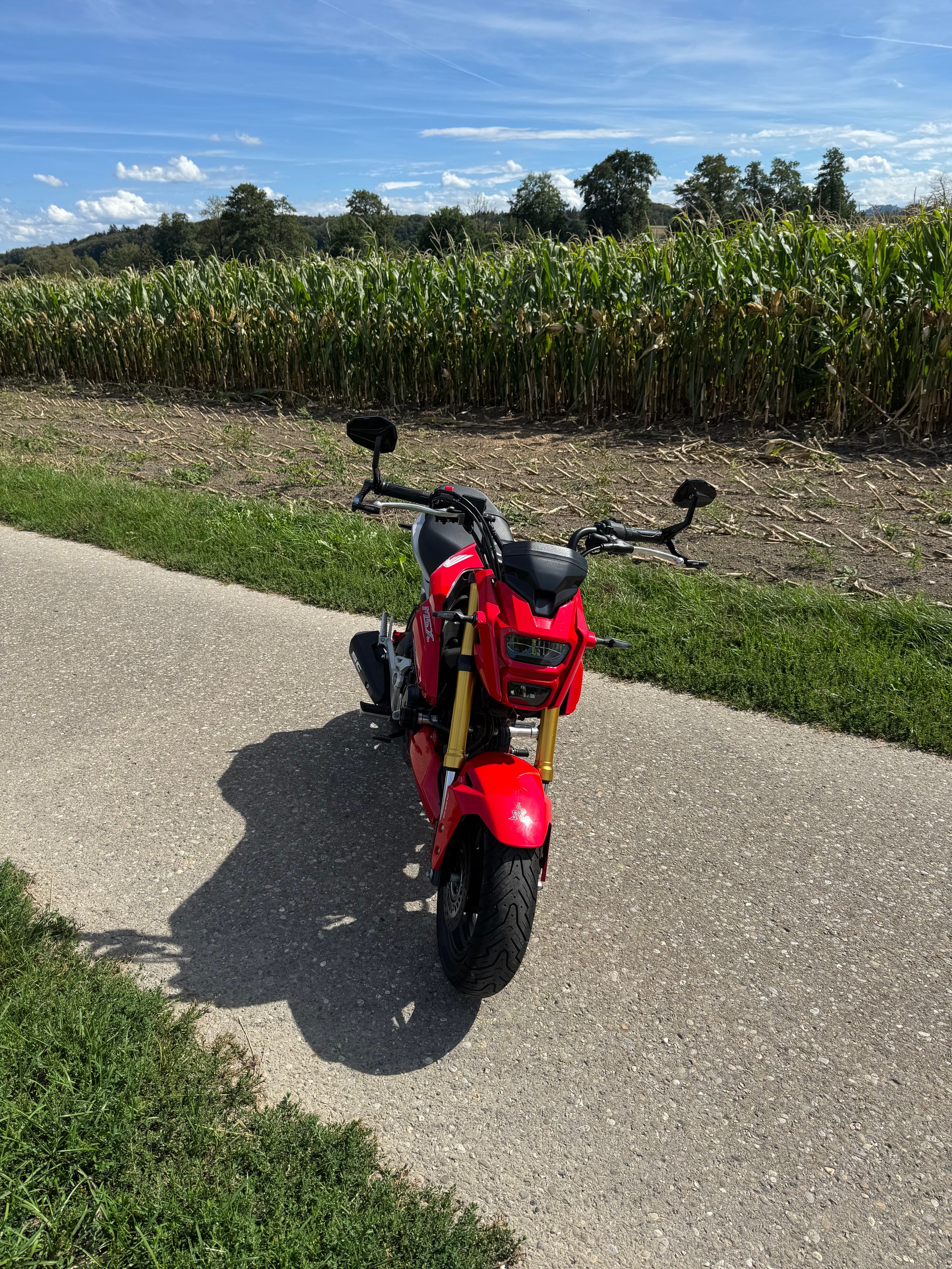 HONDA MSX 125 ABS-image-7