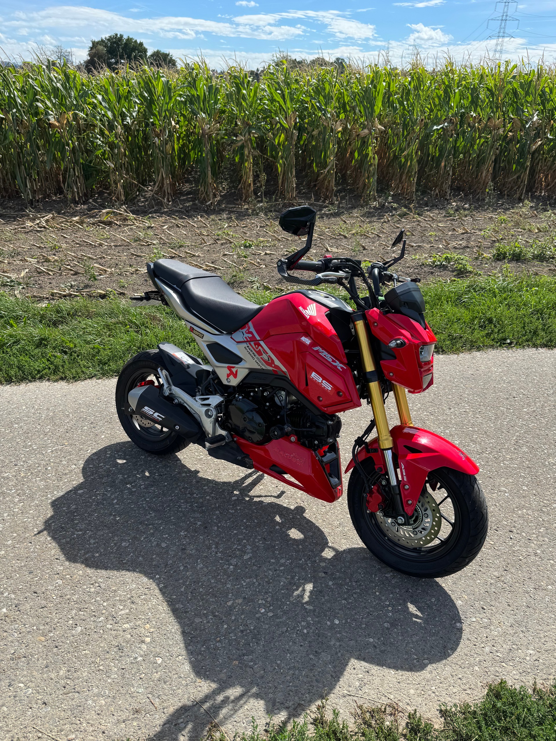 HONDA MSX 125 ABS-image-6