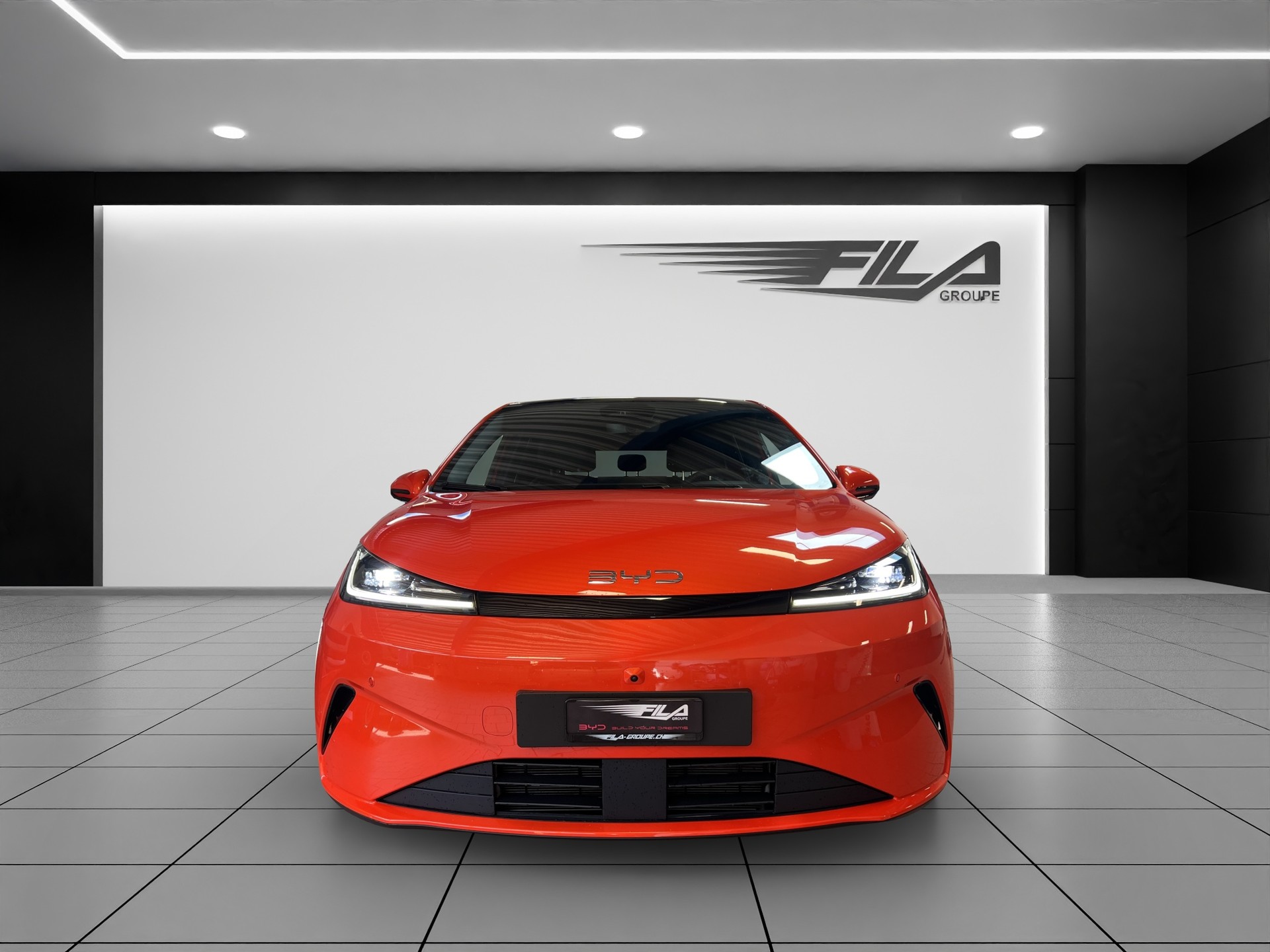 BYD Dolphin G DM-i Comfort-showroom-element-2