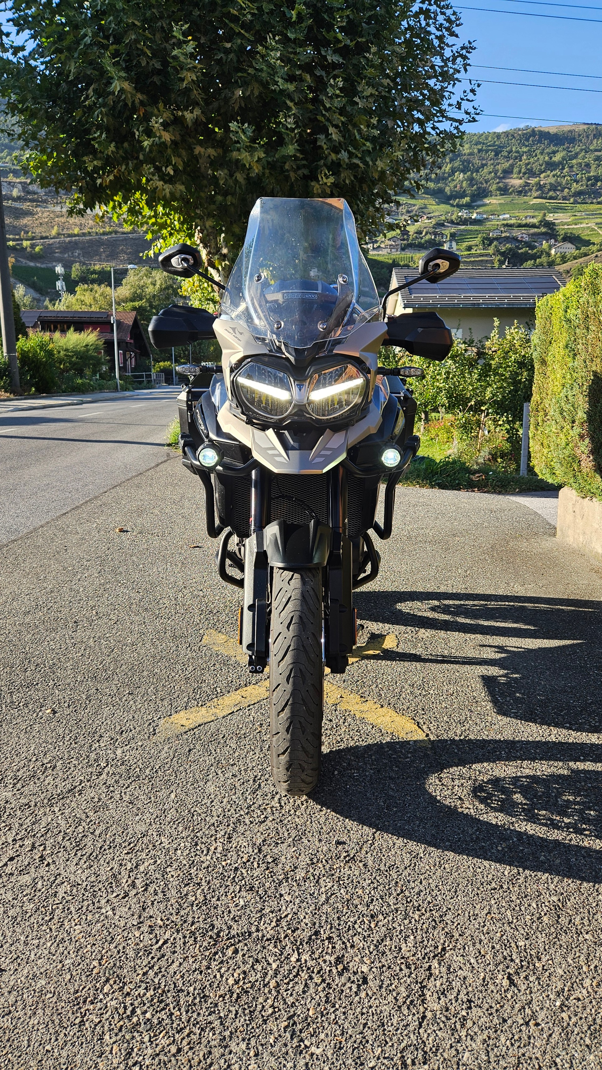 TRIUMPH Tiger 1200 XRt ABS-image-2