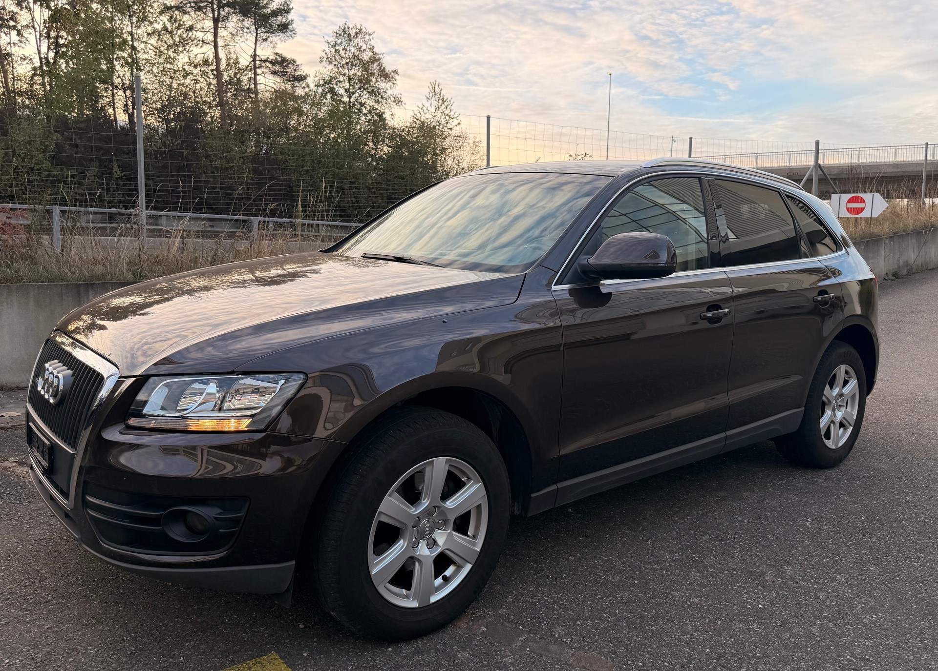 AUDI Q5 2.0 TDI quattro S-tronic-showroom-element-1