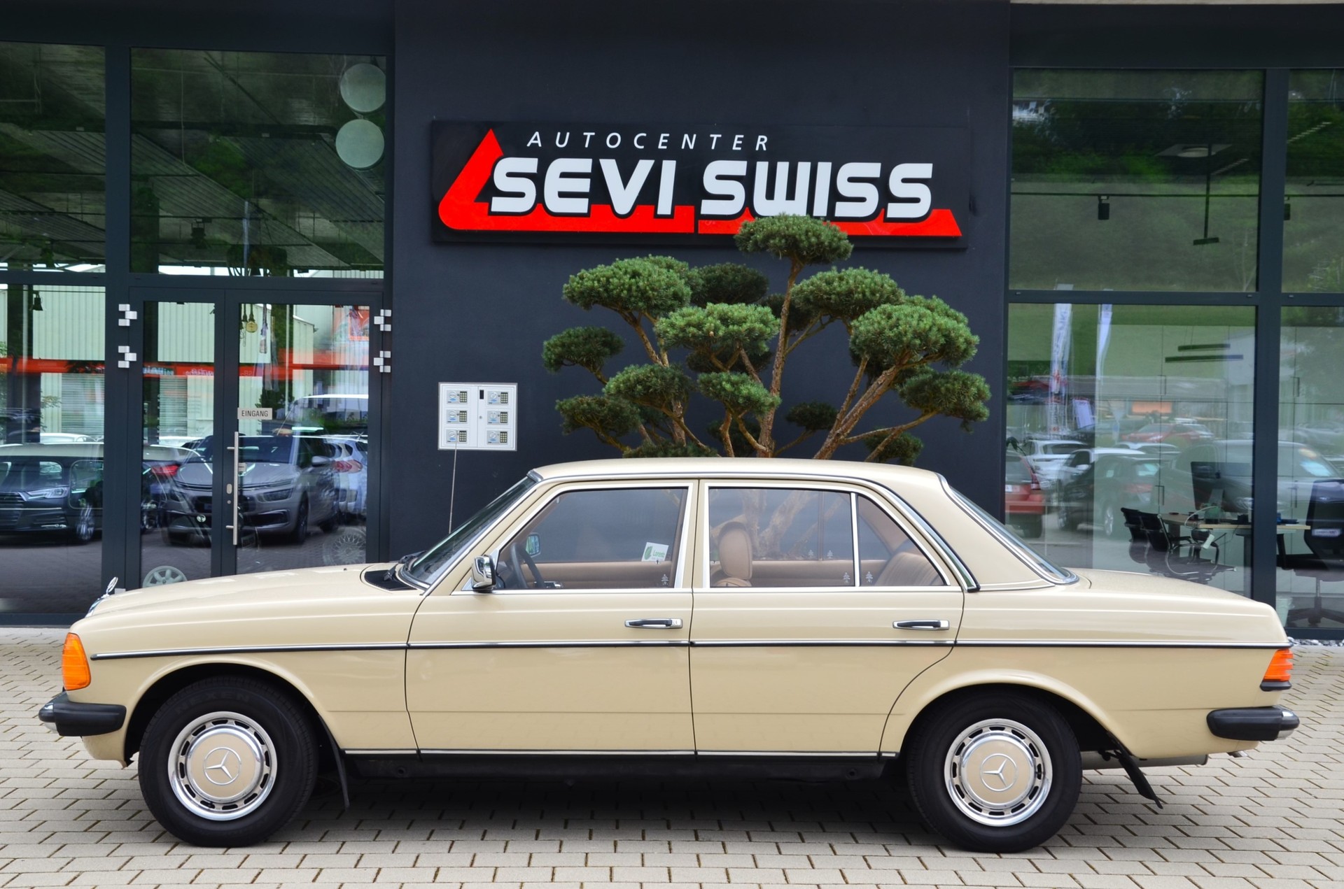 MERCEDES-BENZ 250-image-5