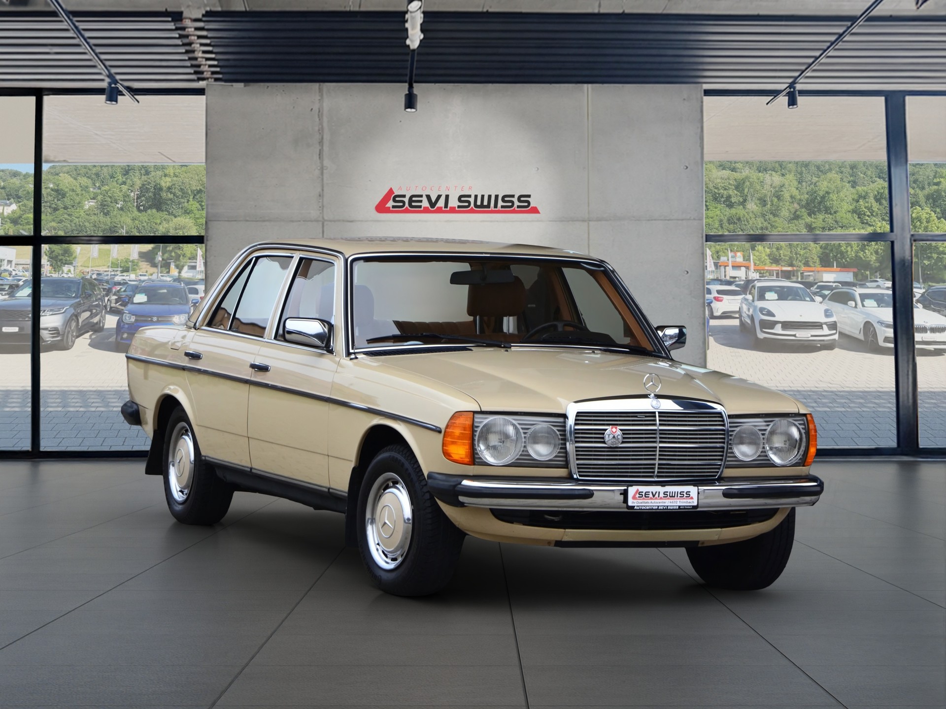 MERCEDES-BENZ 250