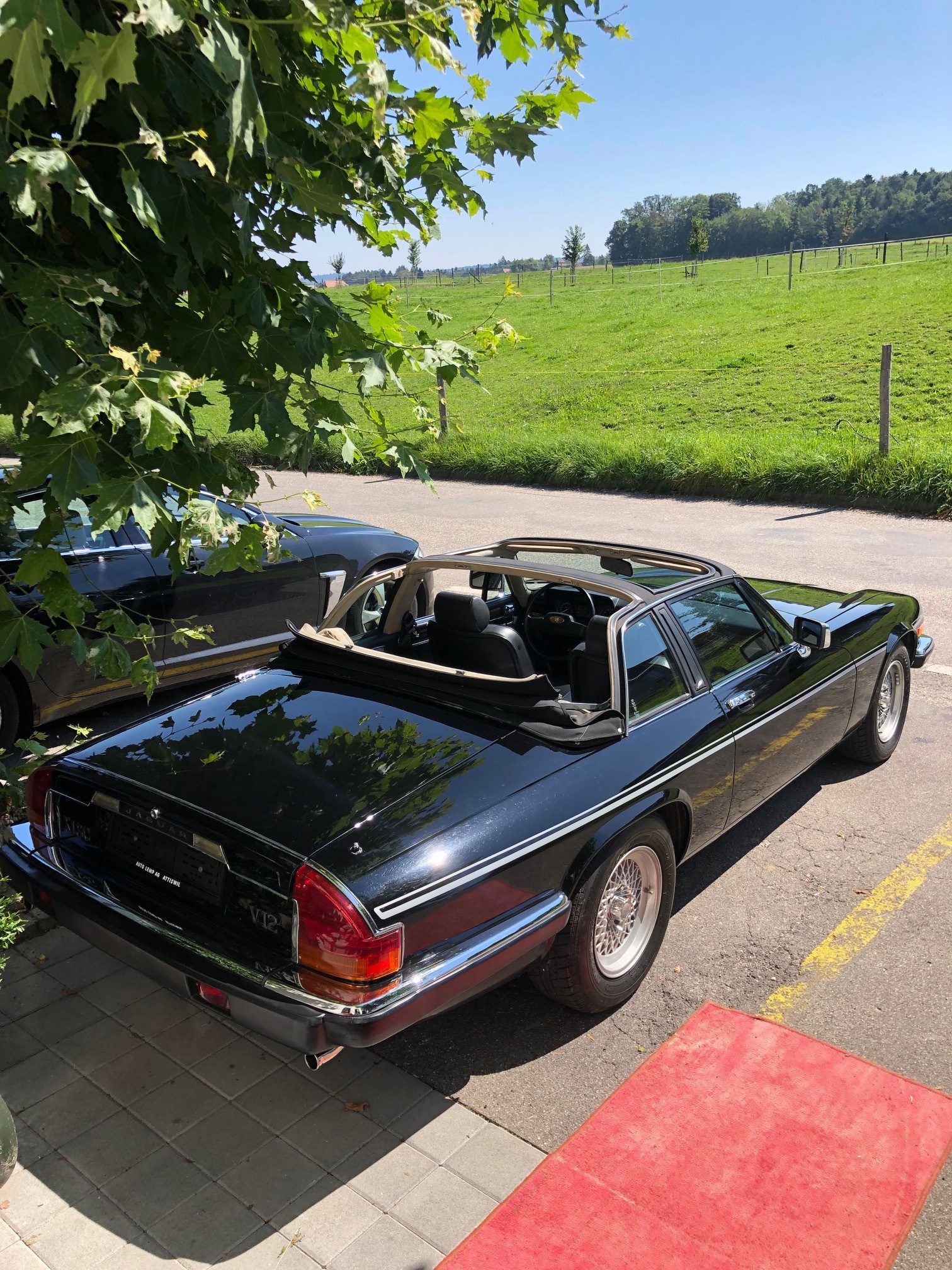 JAGUAR SC (Targa)-image-2