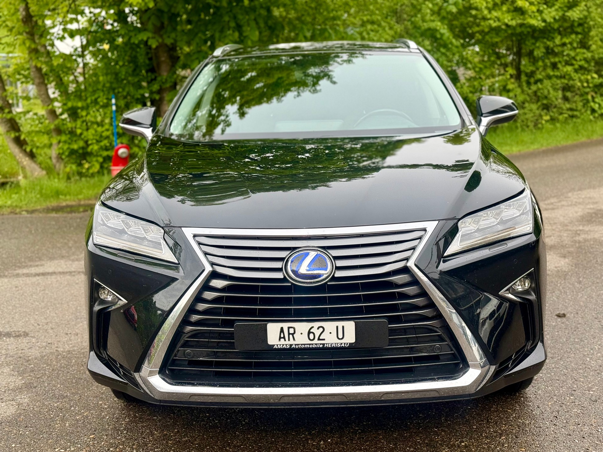 LEXUS RX 450h comfort AWD CVT-image-6