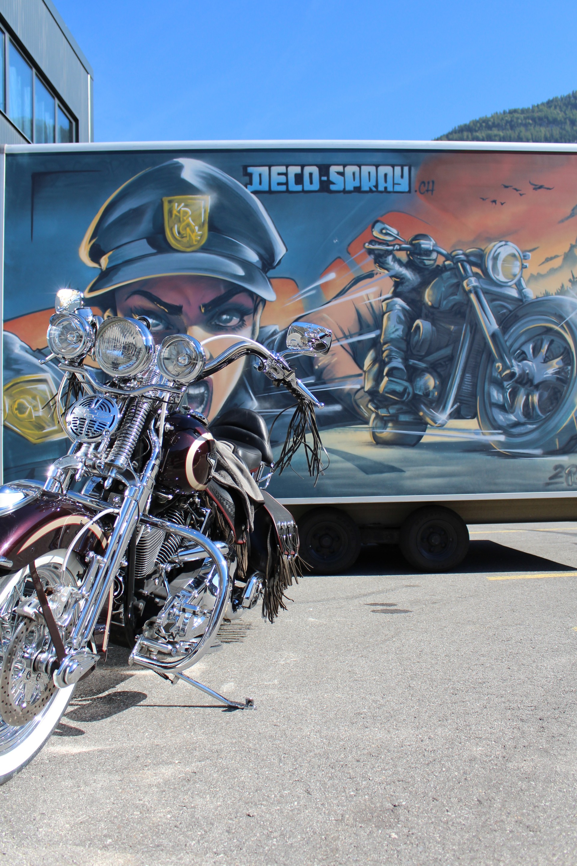 HARLEY-DAVIDSON FLSTS Springer Anniversary-image-2