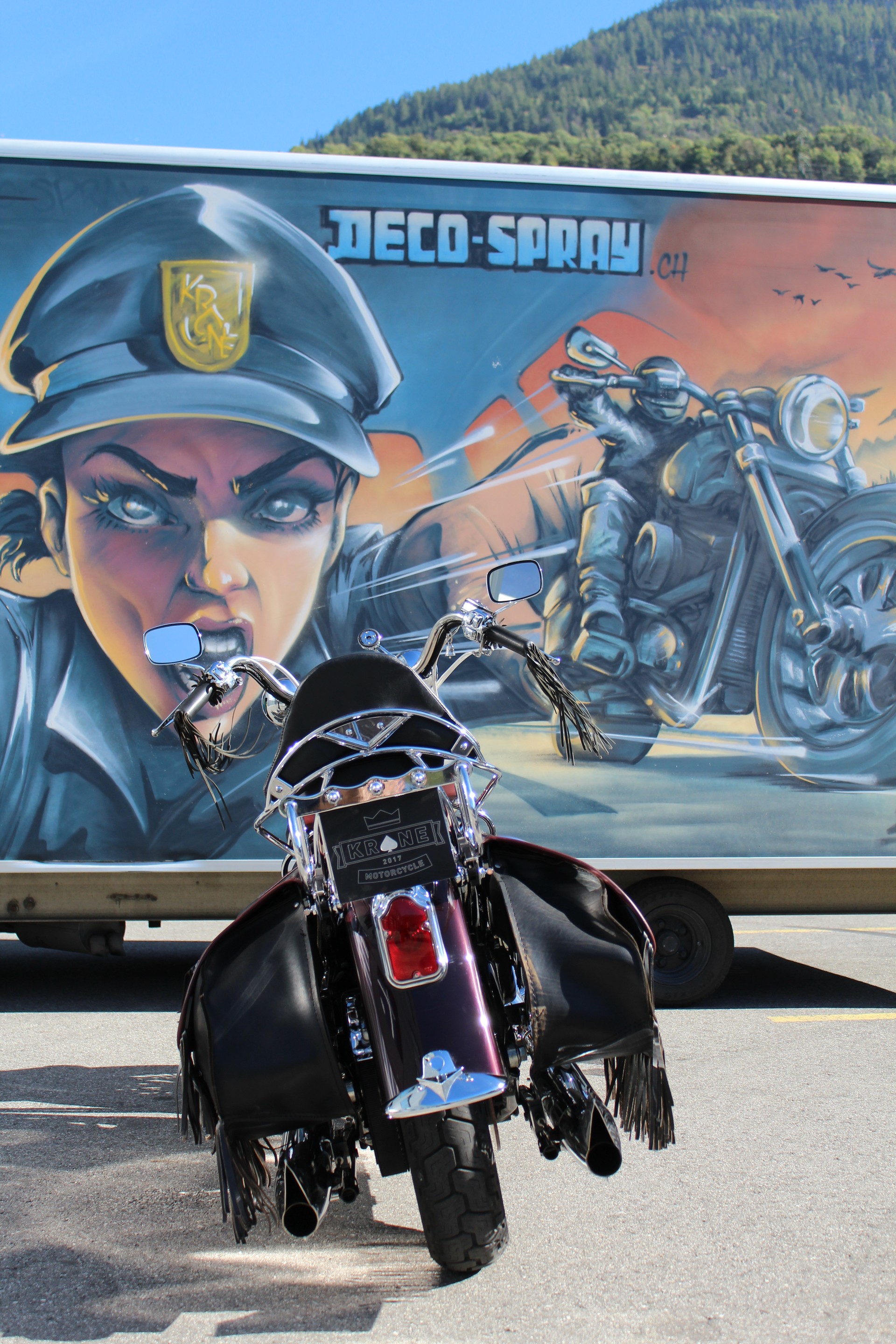 HARLEY-DAVIDSON FLSTS Springer Anniversary-image-7