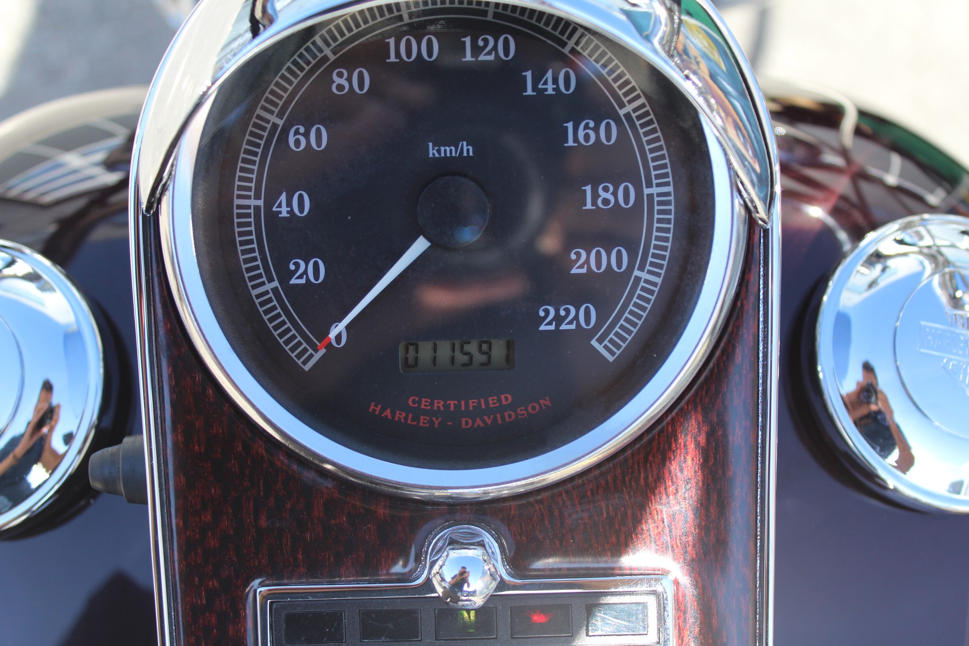HARLEY-DAVIDSON FLSTS Springer Anniversary-image-8