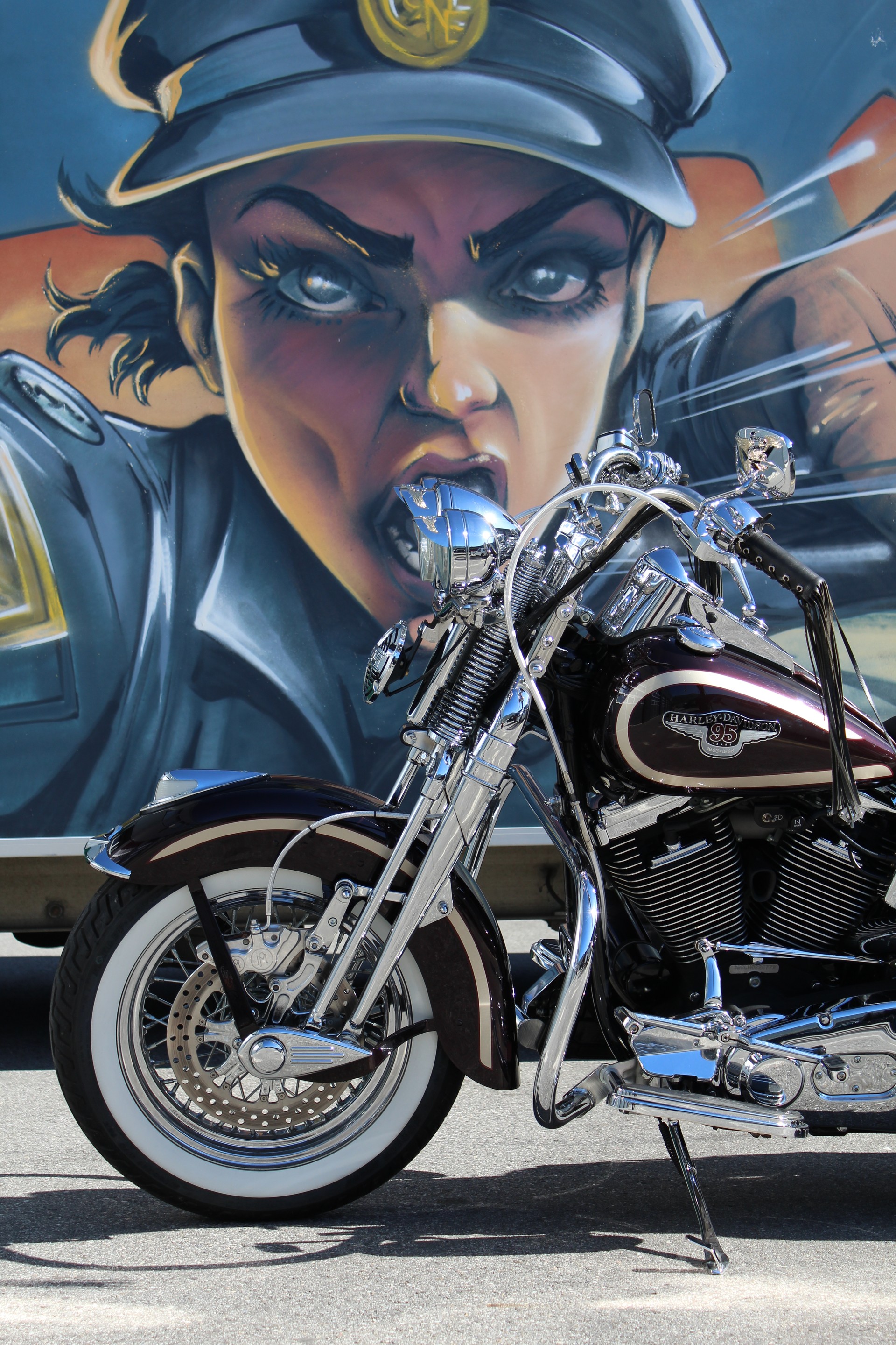 HARLEY-DAVIDSON FLSTS Springer Anniversary-image-6