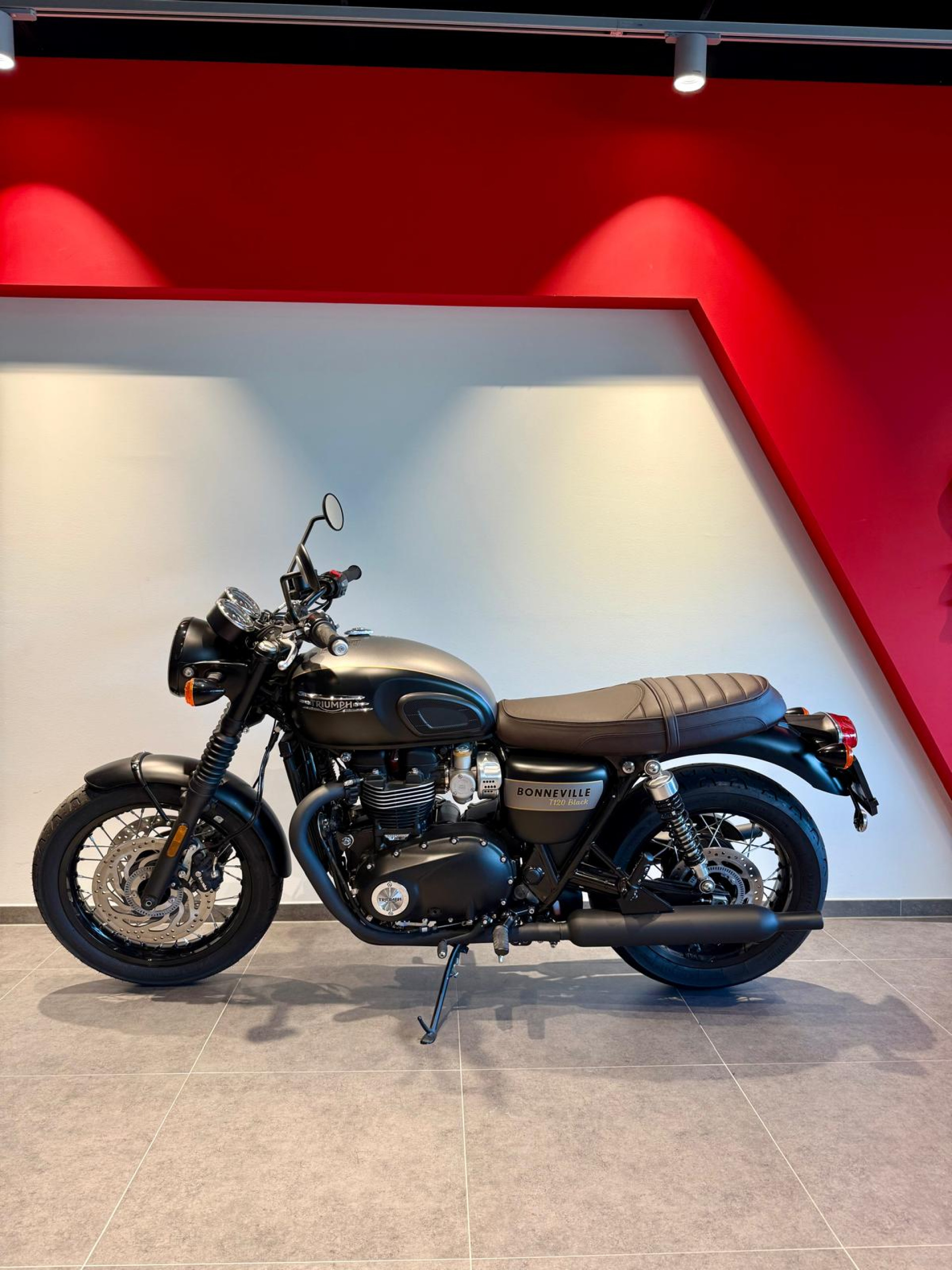 TRIUMPH Bonneville T120 Black Gold Line-image-2