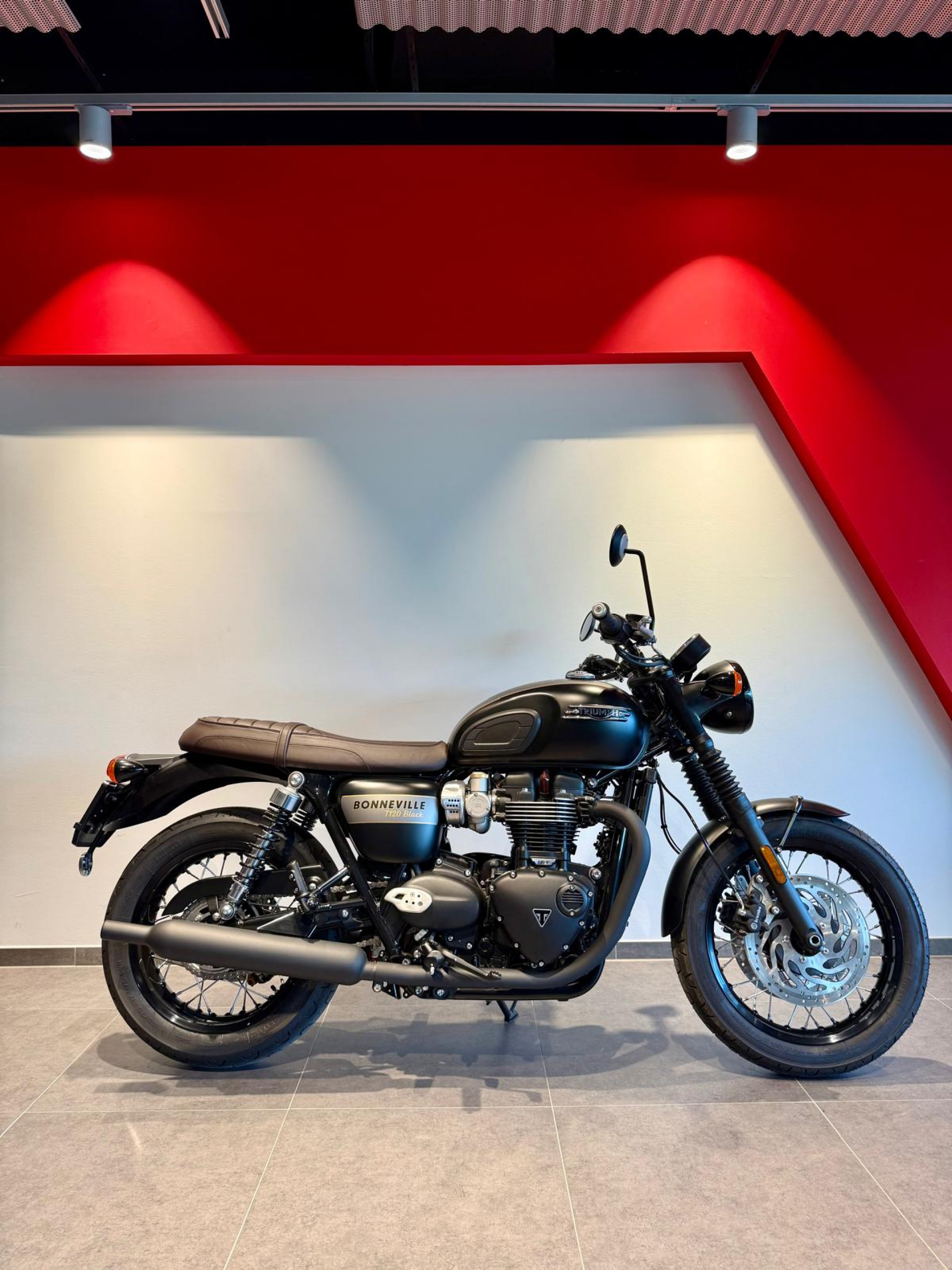 TRIUMPH Bonneville T120 Black Gold Line-image-1