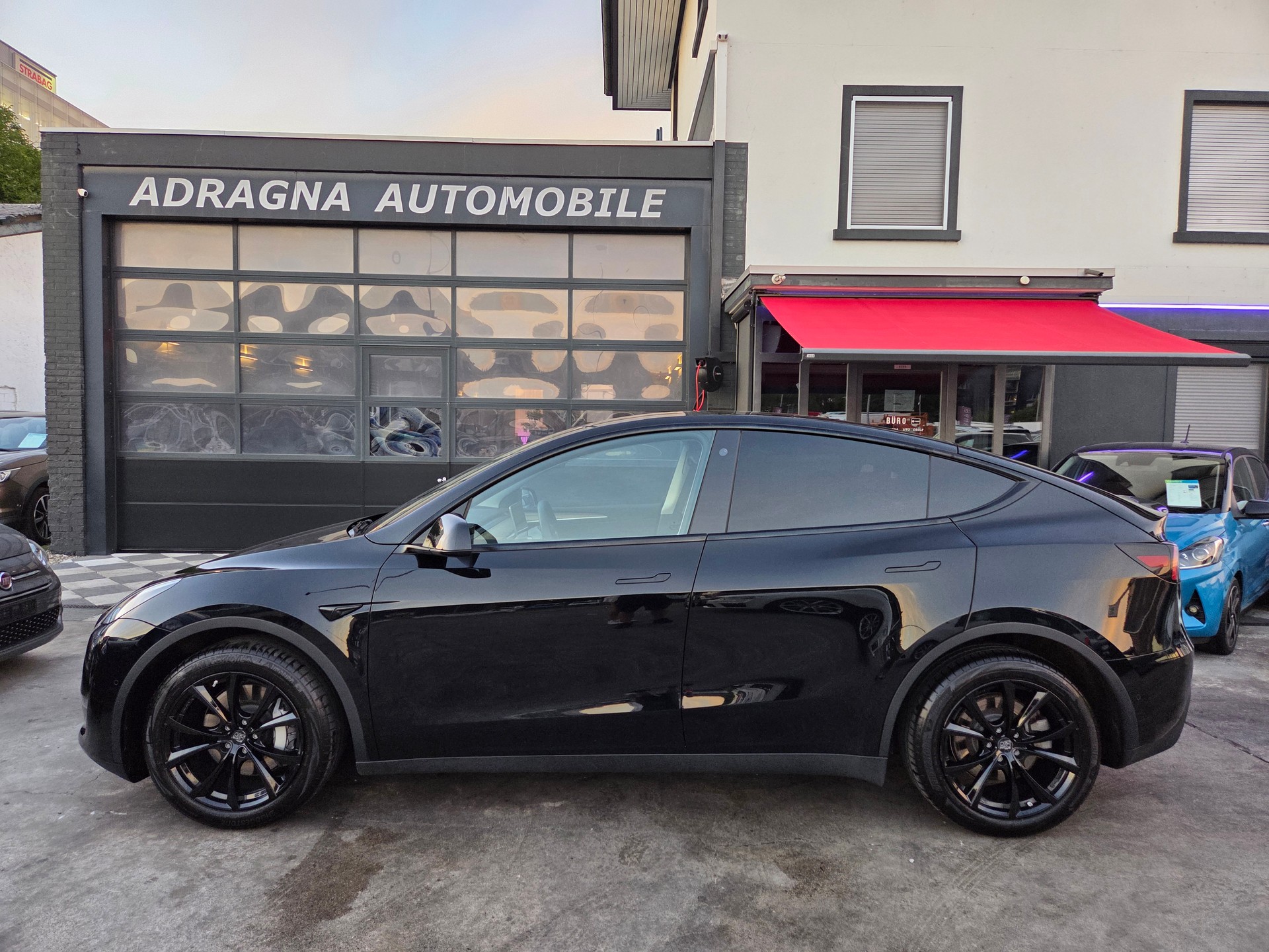 TESLA Model Y Long Range-showroom-element-3