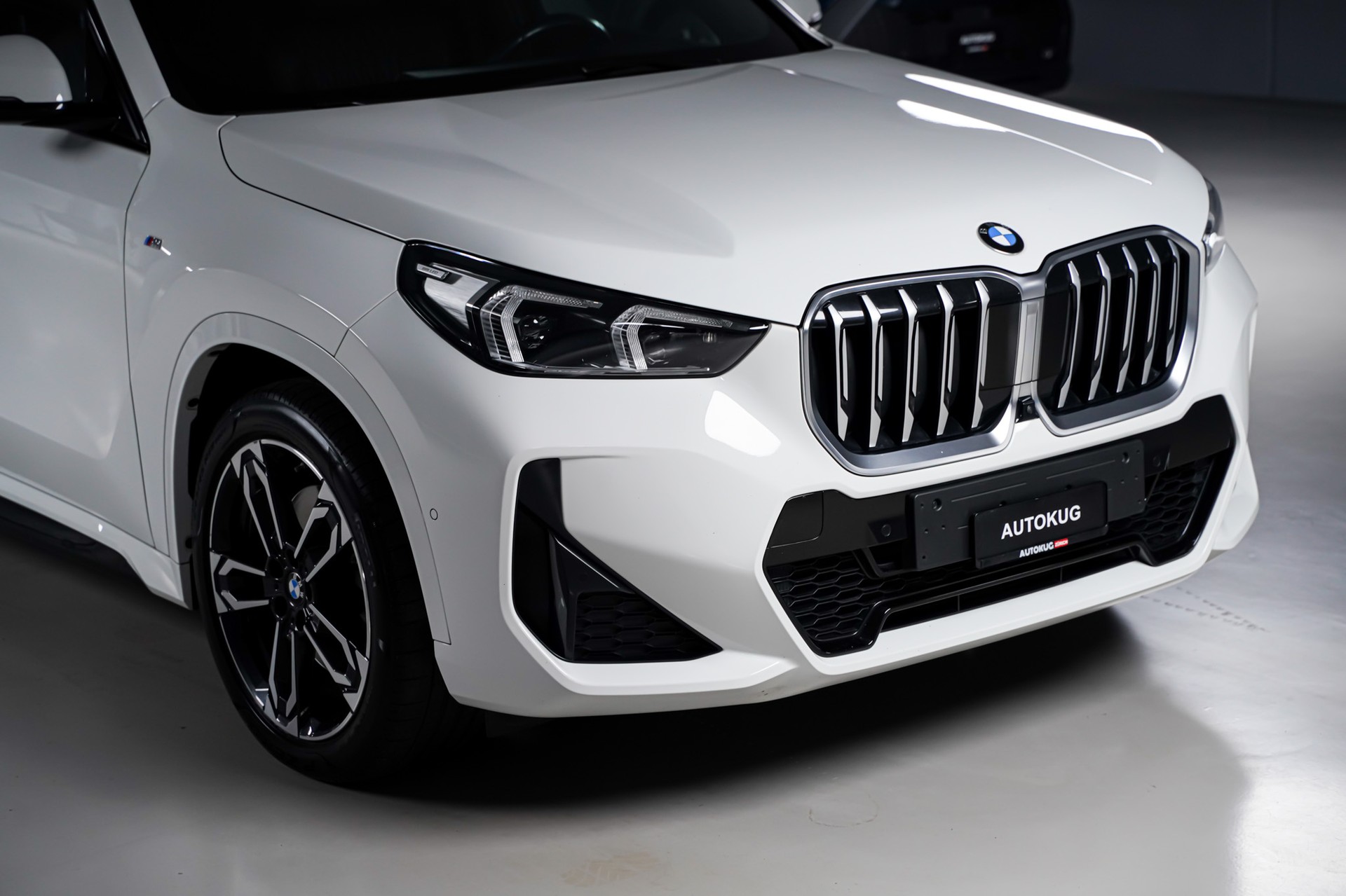 BMW X1 xDrive 23d 48V M Sport-showroom-element-2