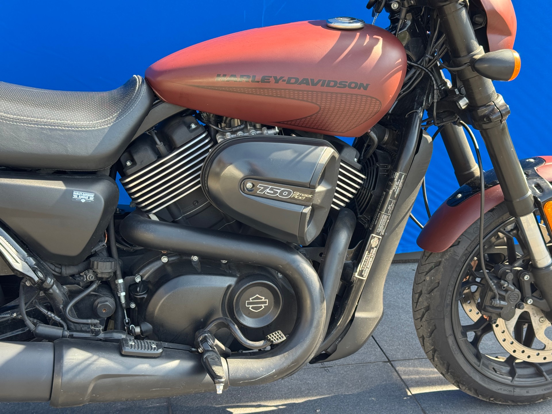 HARLEY-DAVIDSON XG 750 Street Rod-image-5