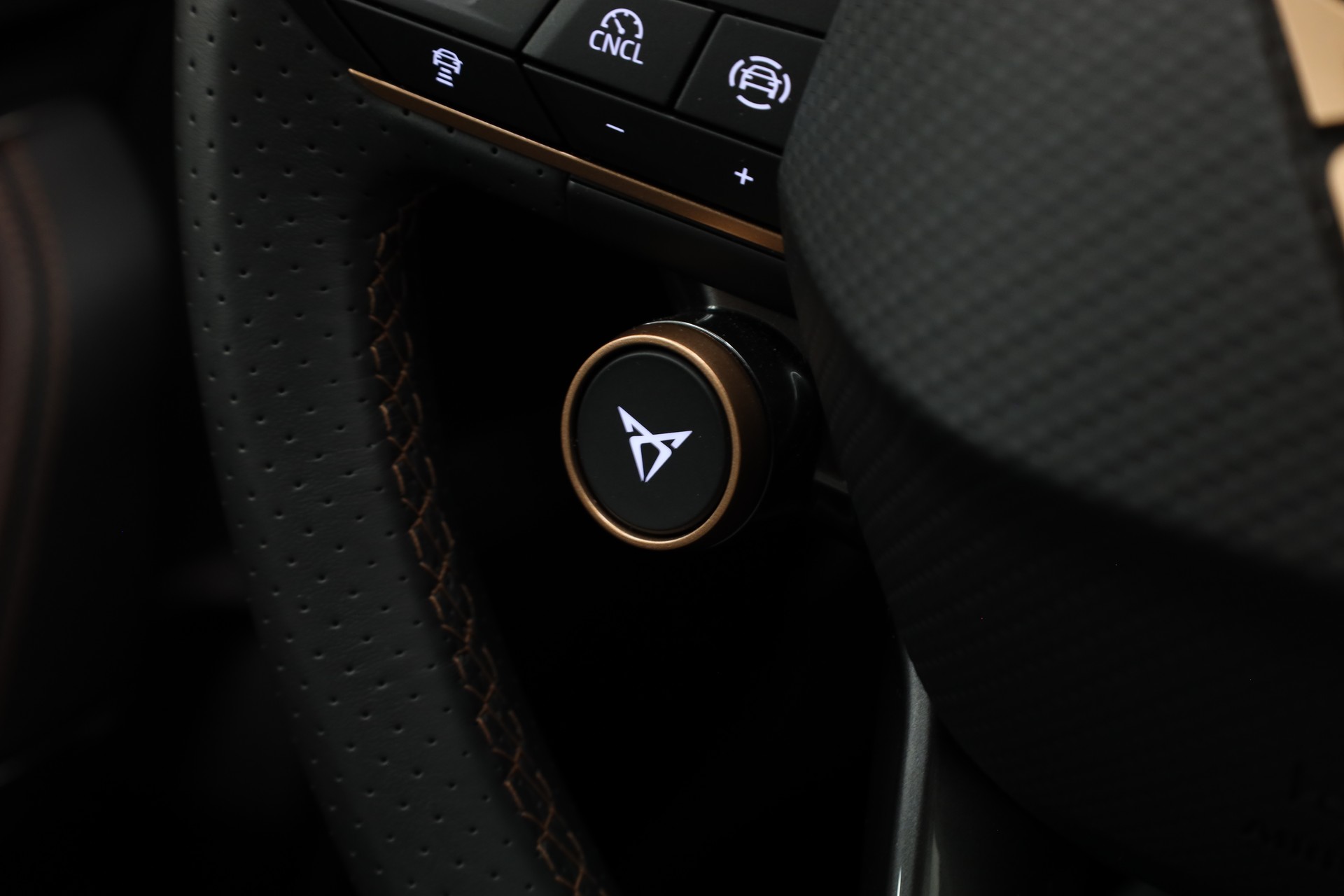 CUPRA Leon 2.0 TSI 300 VZ DSG-image-20