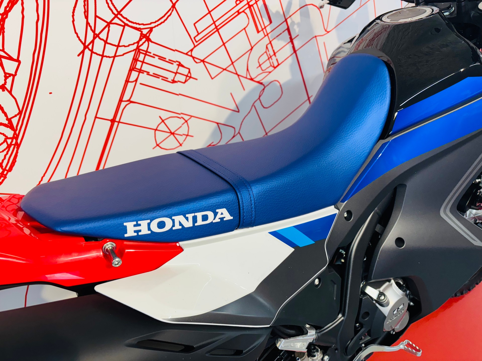 HONDA CRF 300 Rallye-image-6