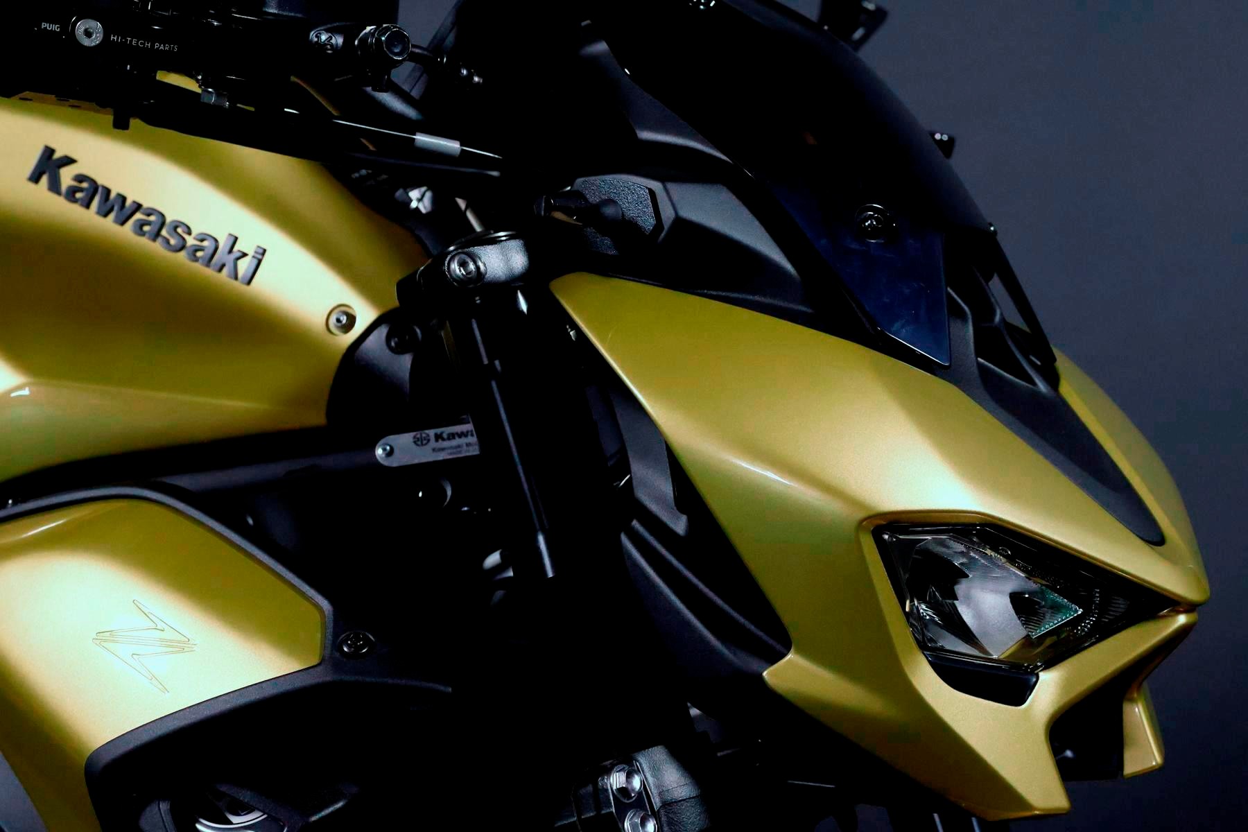 KAWASAKI Z 900 (91/70/35 KW) *Platin Edition* Level 3-image-4