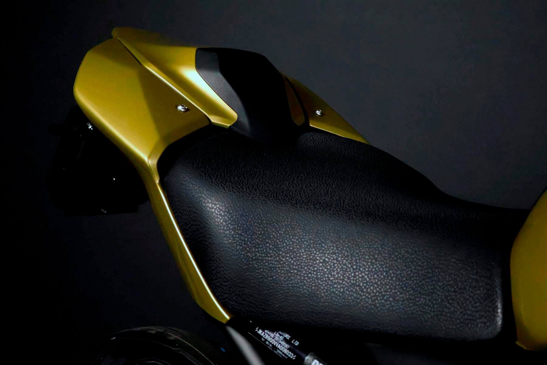 KAWASAKI Z 900 (91/70/35 KW) *Platin Edition* Level 3-image-6