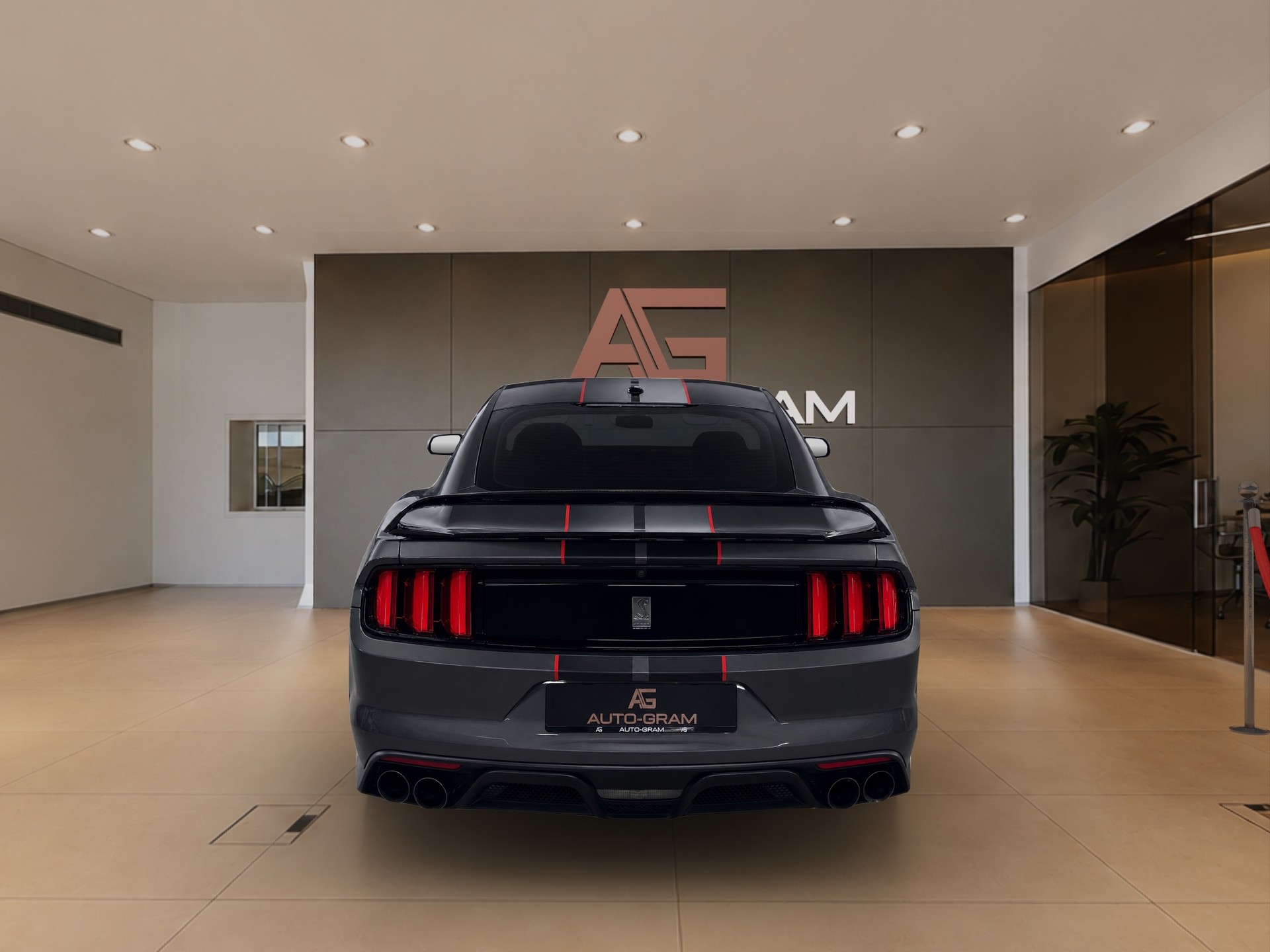 FORD Ford Mustang Shelby GT350-showroom-element-3