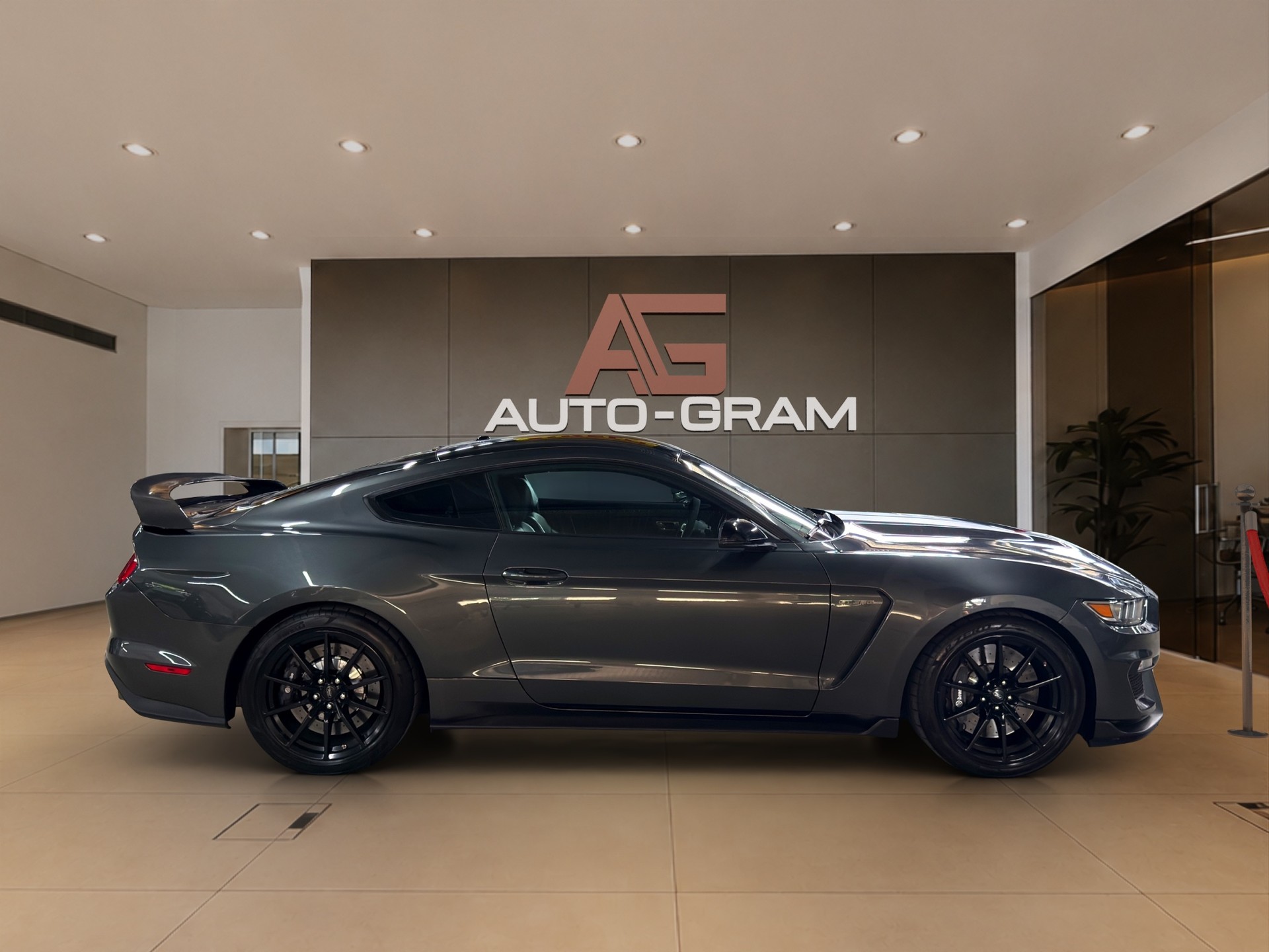 FORD Ford Mustang Shelby GT350-image-5