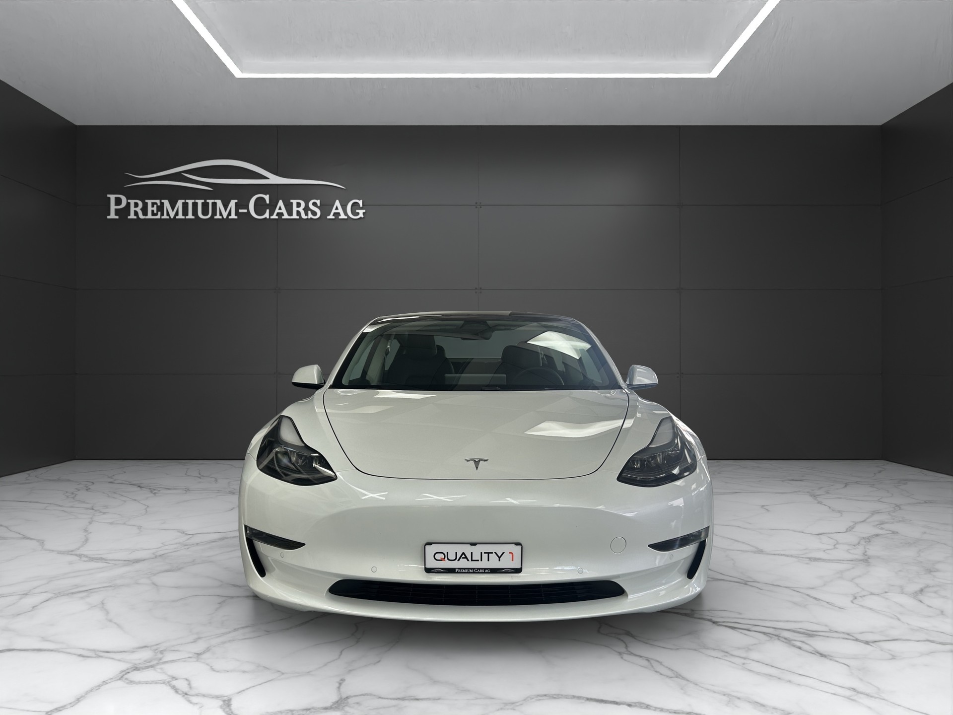 TESLA Model 3 Performance Dual Motor AWD-image-3
