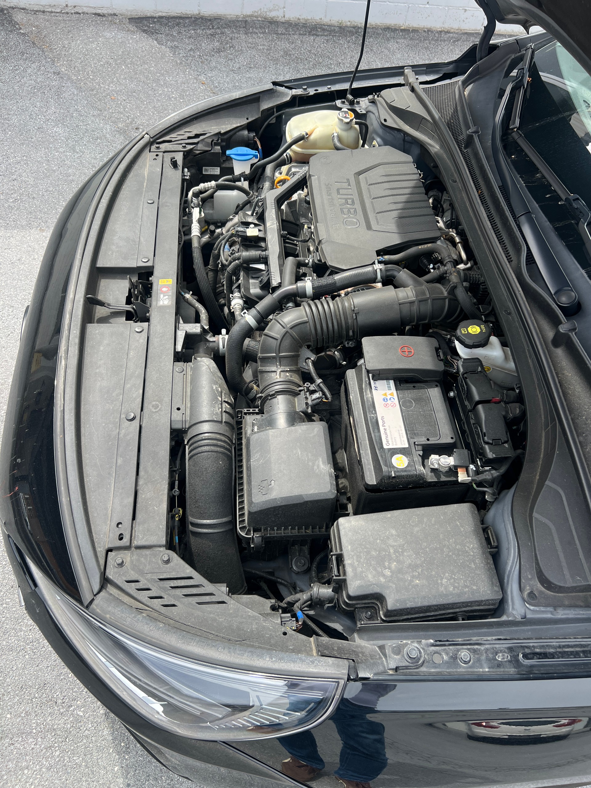 HYUNDAI Wagon 1.5 T-GDi 48V MH DCT-image-13