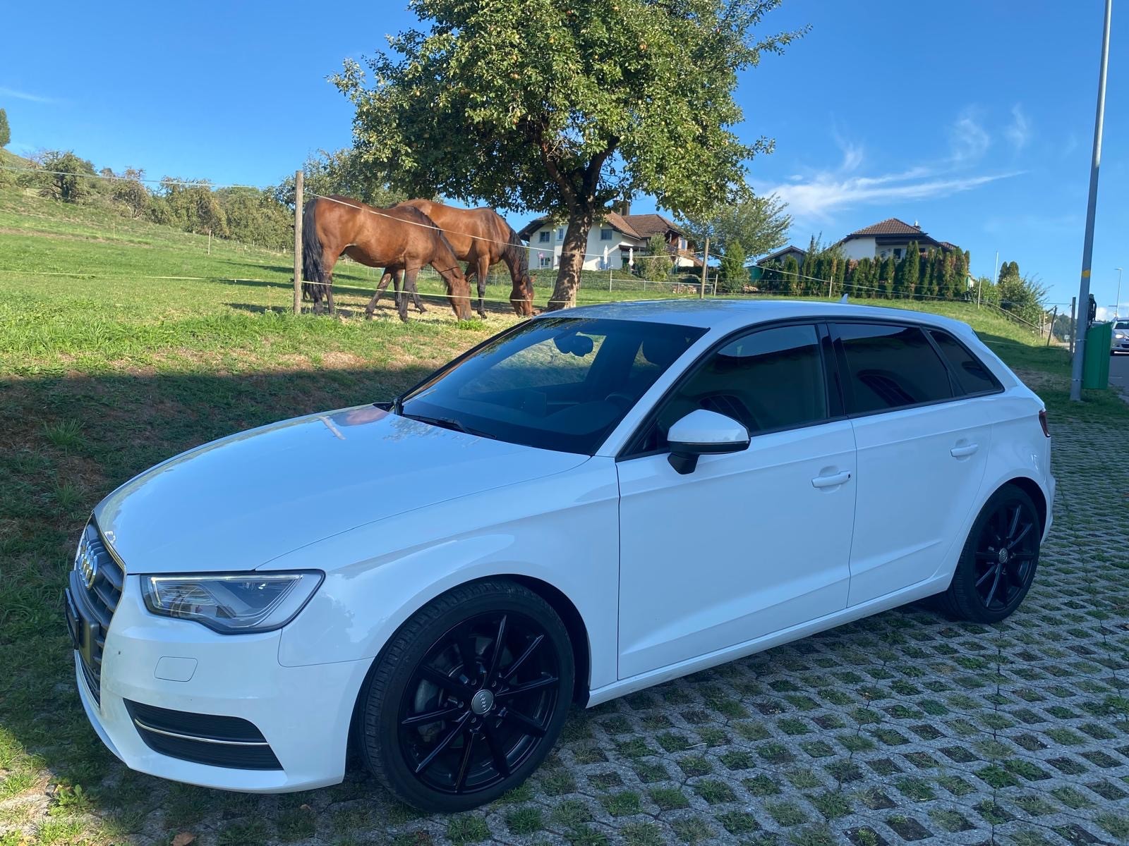 AUDI A3 Sportback 2.0 TDI Attraction quattro S-tronic