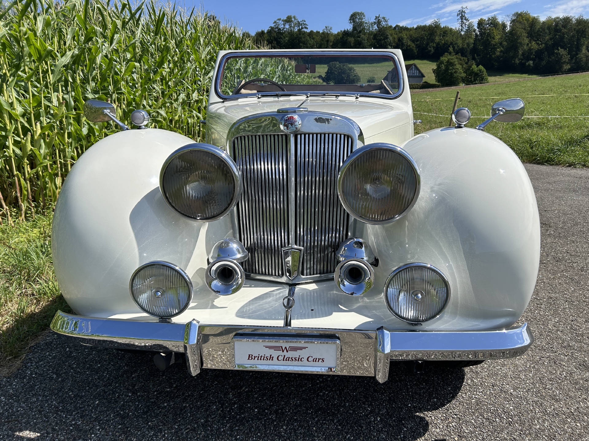 TRIUMPH Roadster 2000-image-4