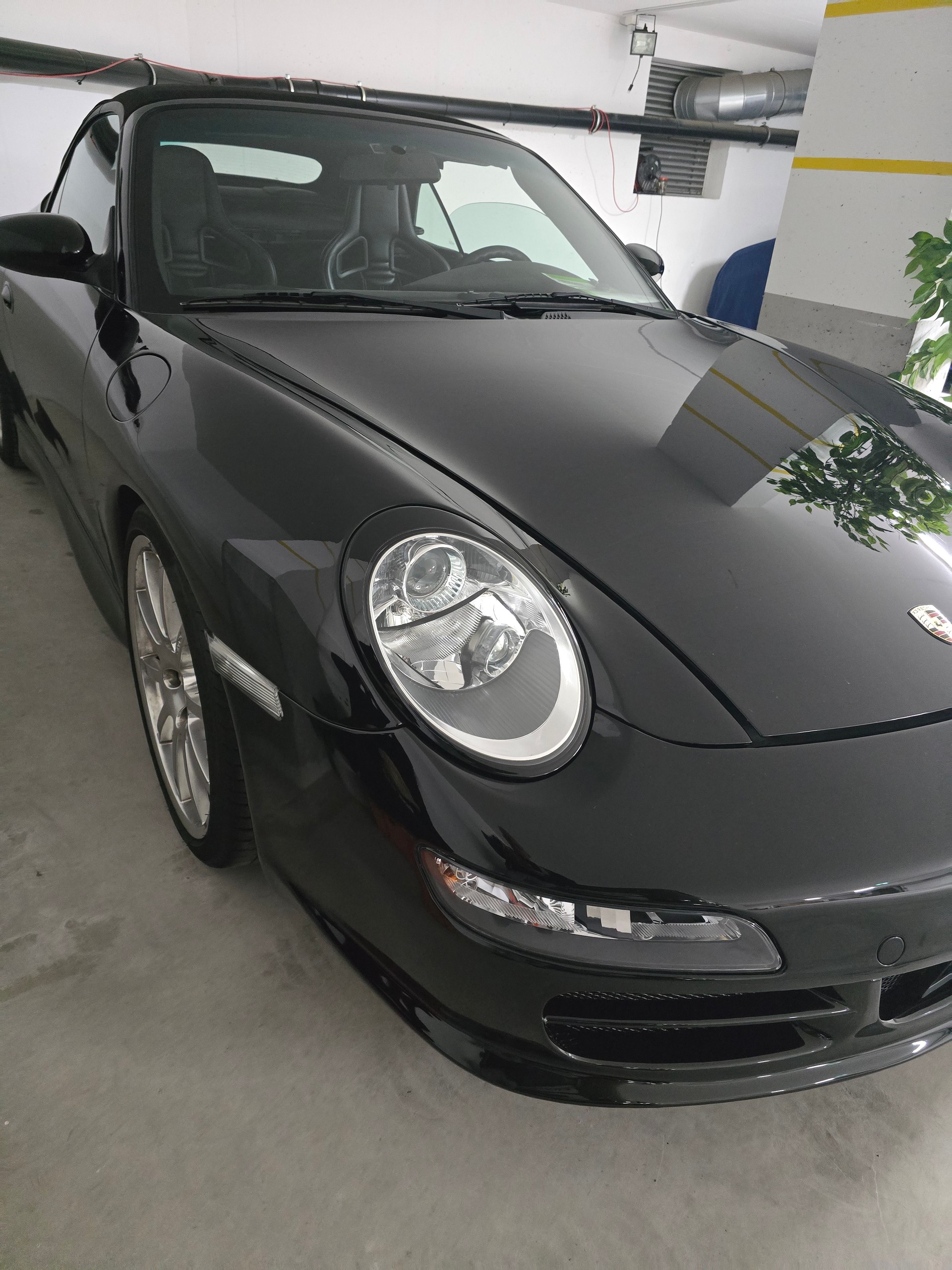 PORSCHE Carrera-image-13
