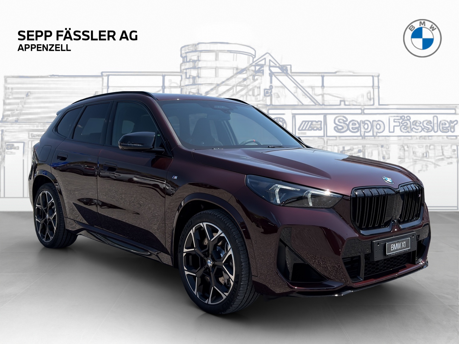 BMW X1 xDrive M35i-image-6
