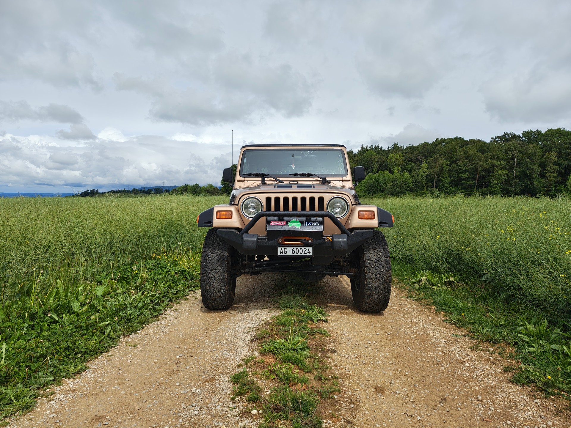 JEEP 4.0 TJ Rockcrawler-image-3