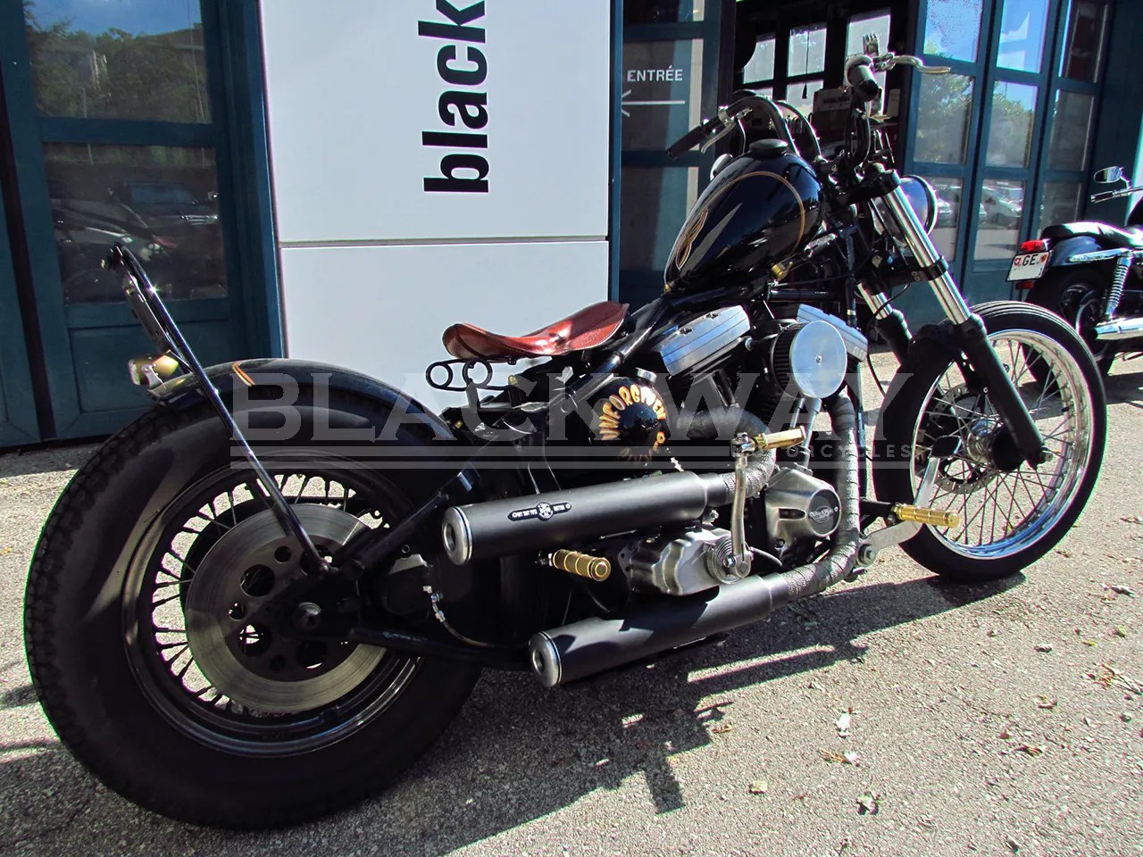 HARLEY-DAVIDSON FXSTC Softail custom-image-5