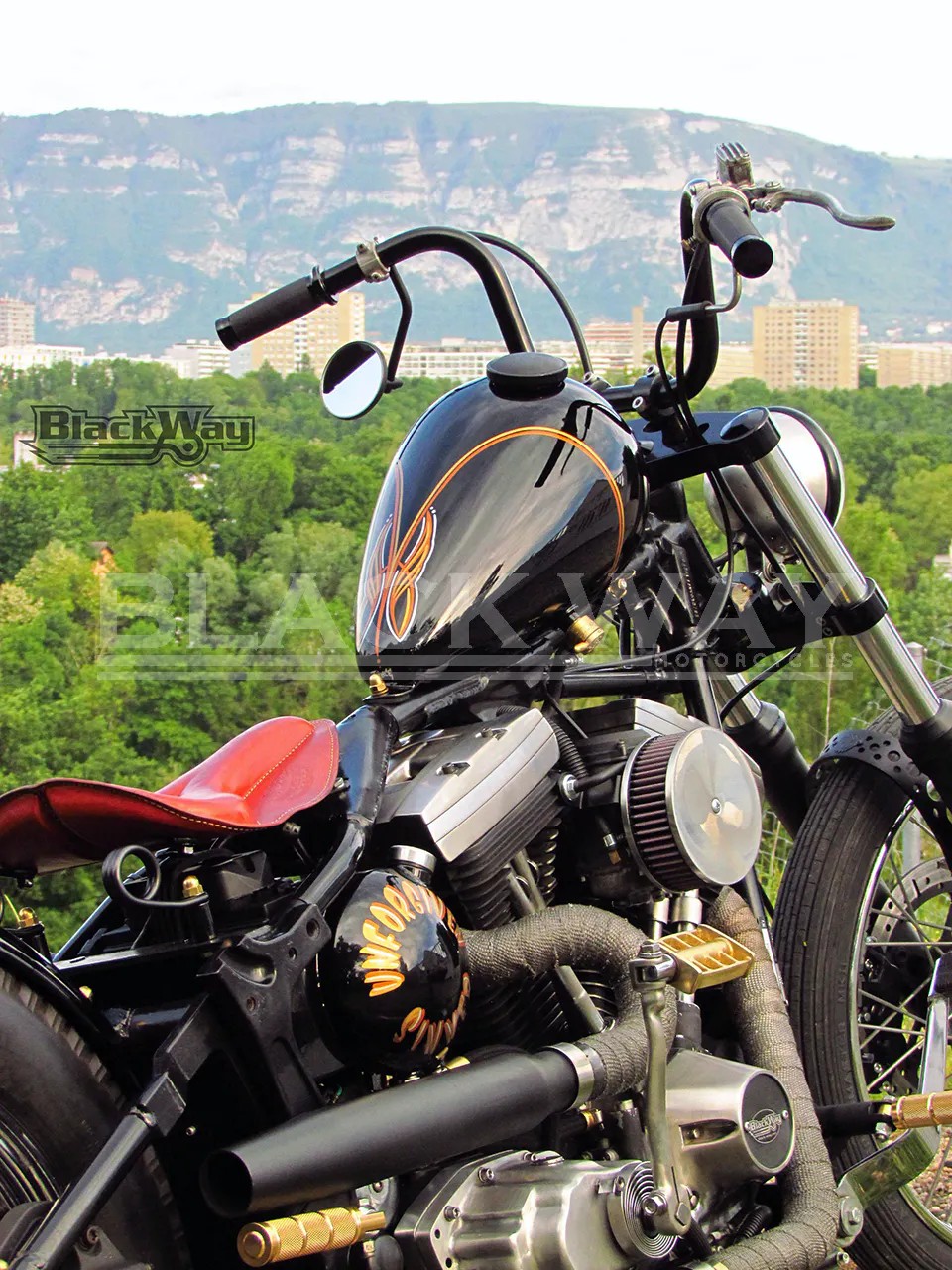 HARLEY-DAVIDSON FXSTC Softail custom-image-6