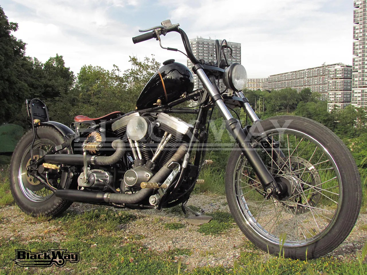 HARLEY-DAVIDSON FXSTC Softail custom-image-3