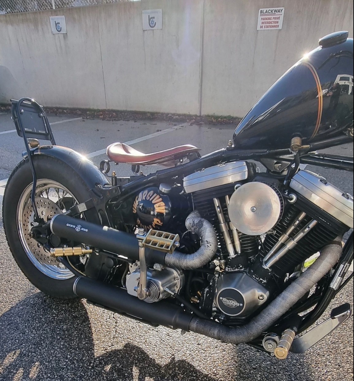 HARLEY-DAVIDSON FXSTC Softail custom-image-2