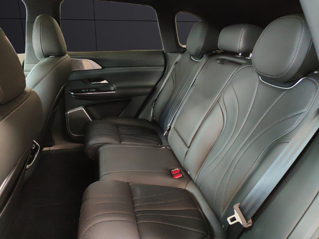 XPENG Performance AWD-image-11