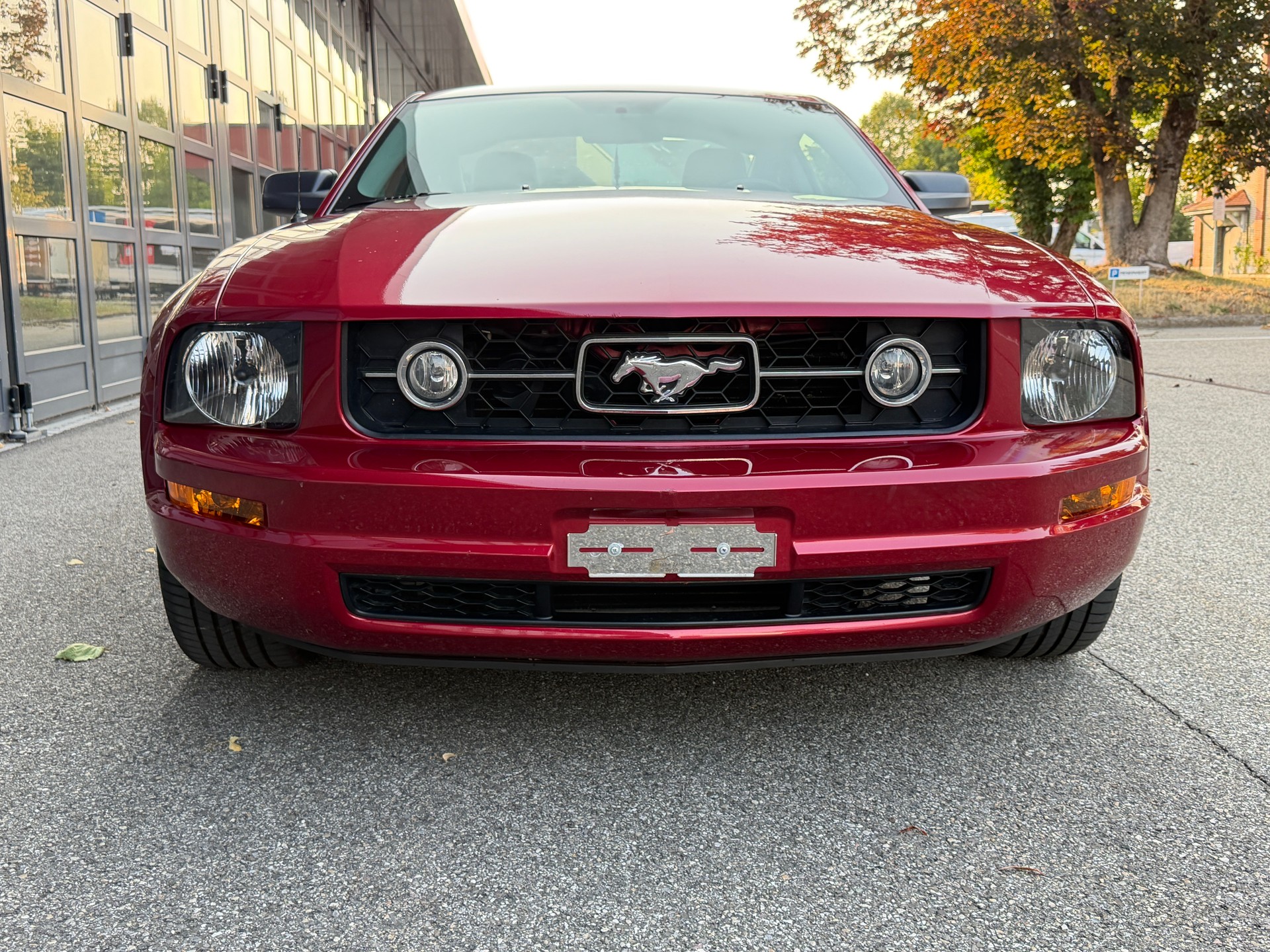 FORD MUSTANG V6 Coupé-image-9