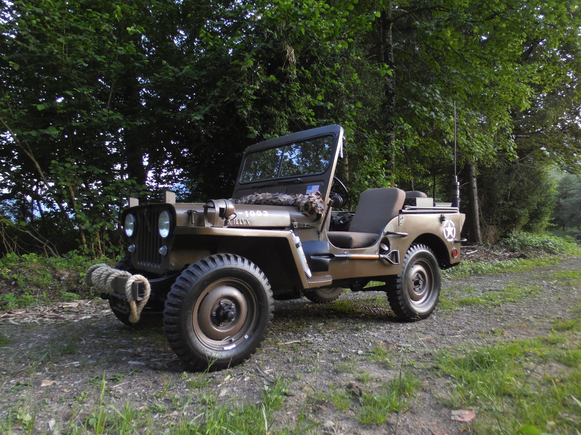 WILLYS-image-2
