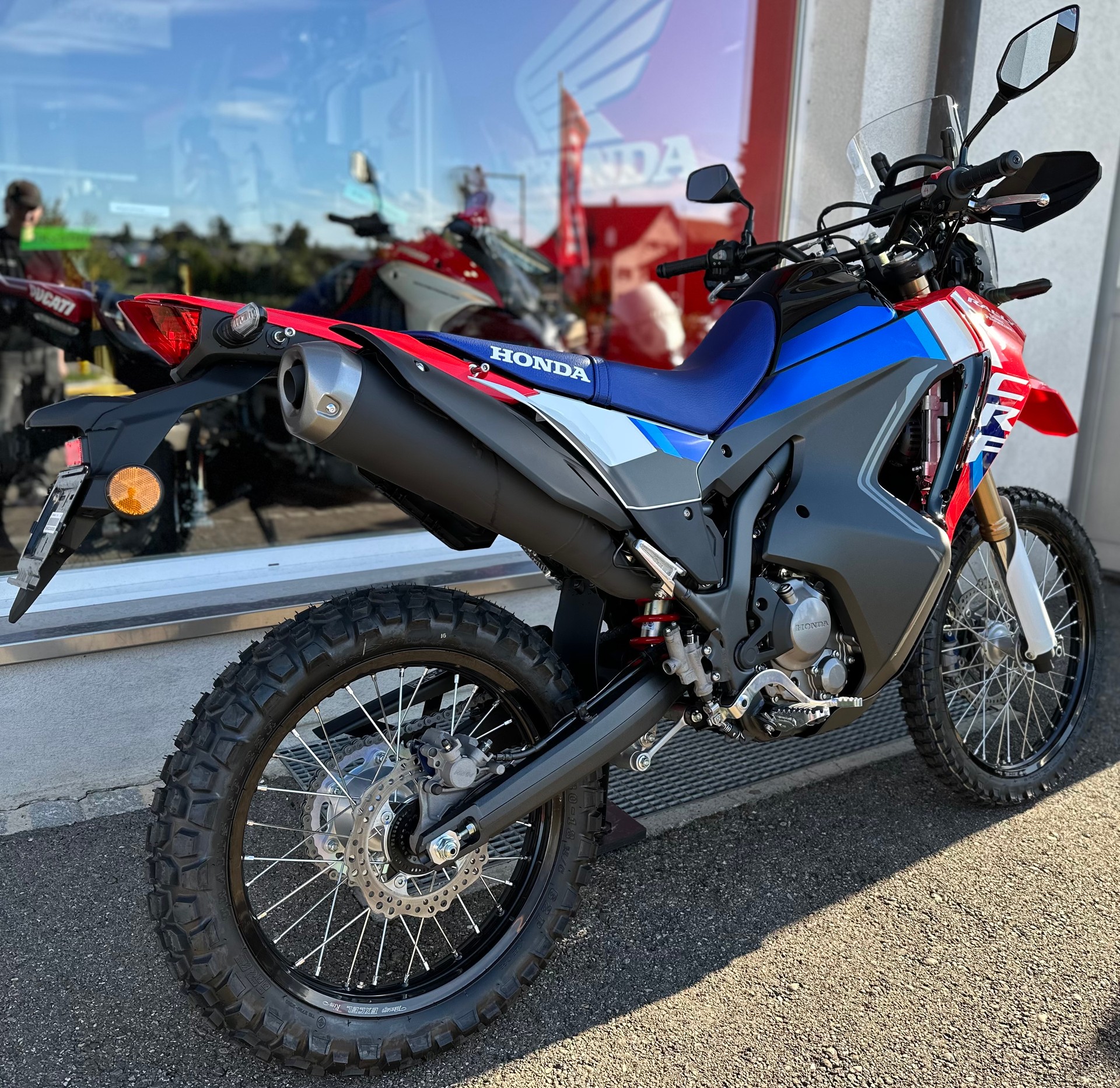 HONDA CRF 300 RL Rally-image-3