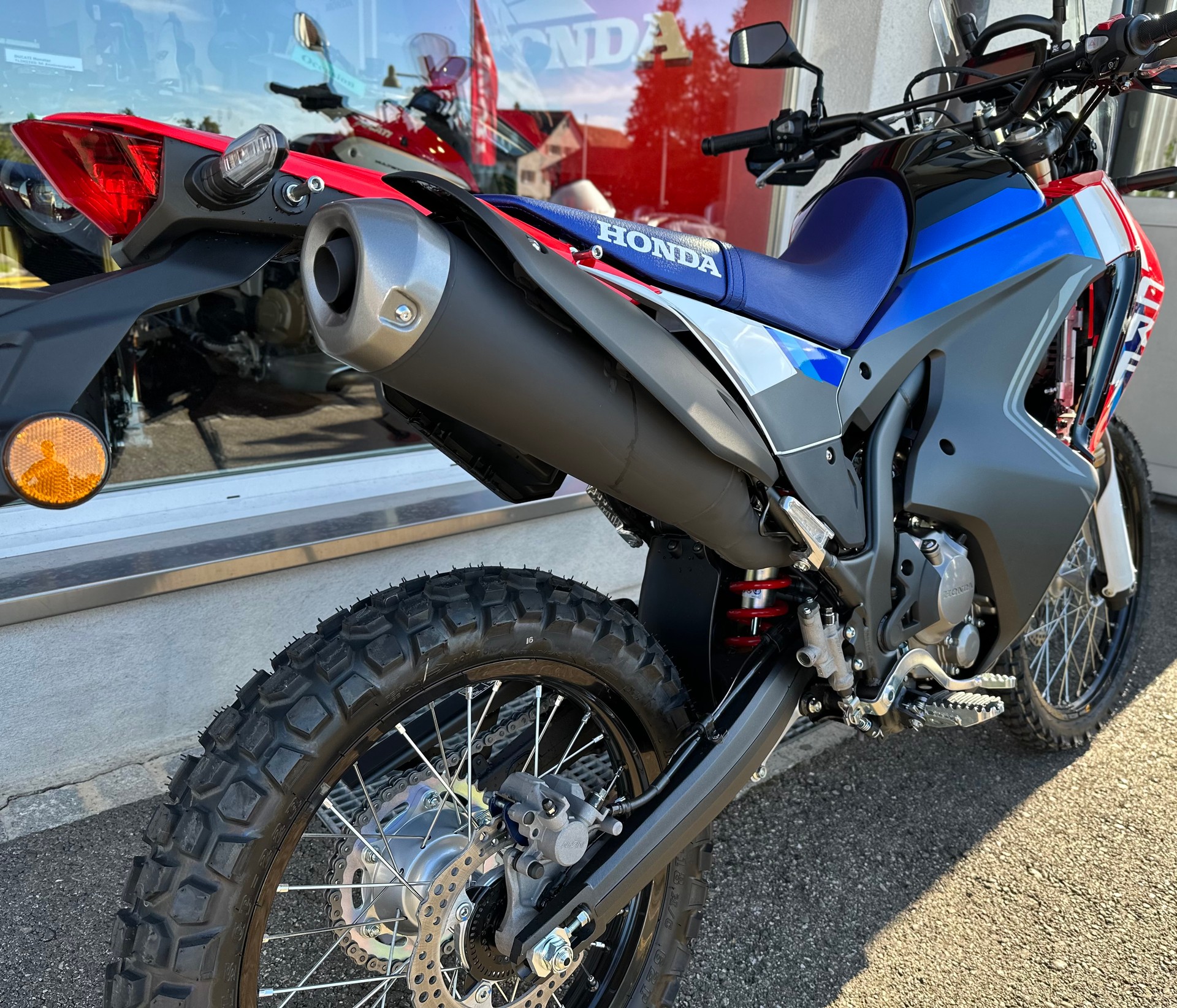 HONDA CRF 300 RL Rally-image-7