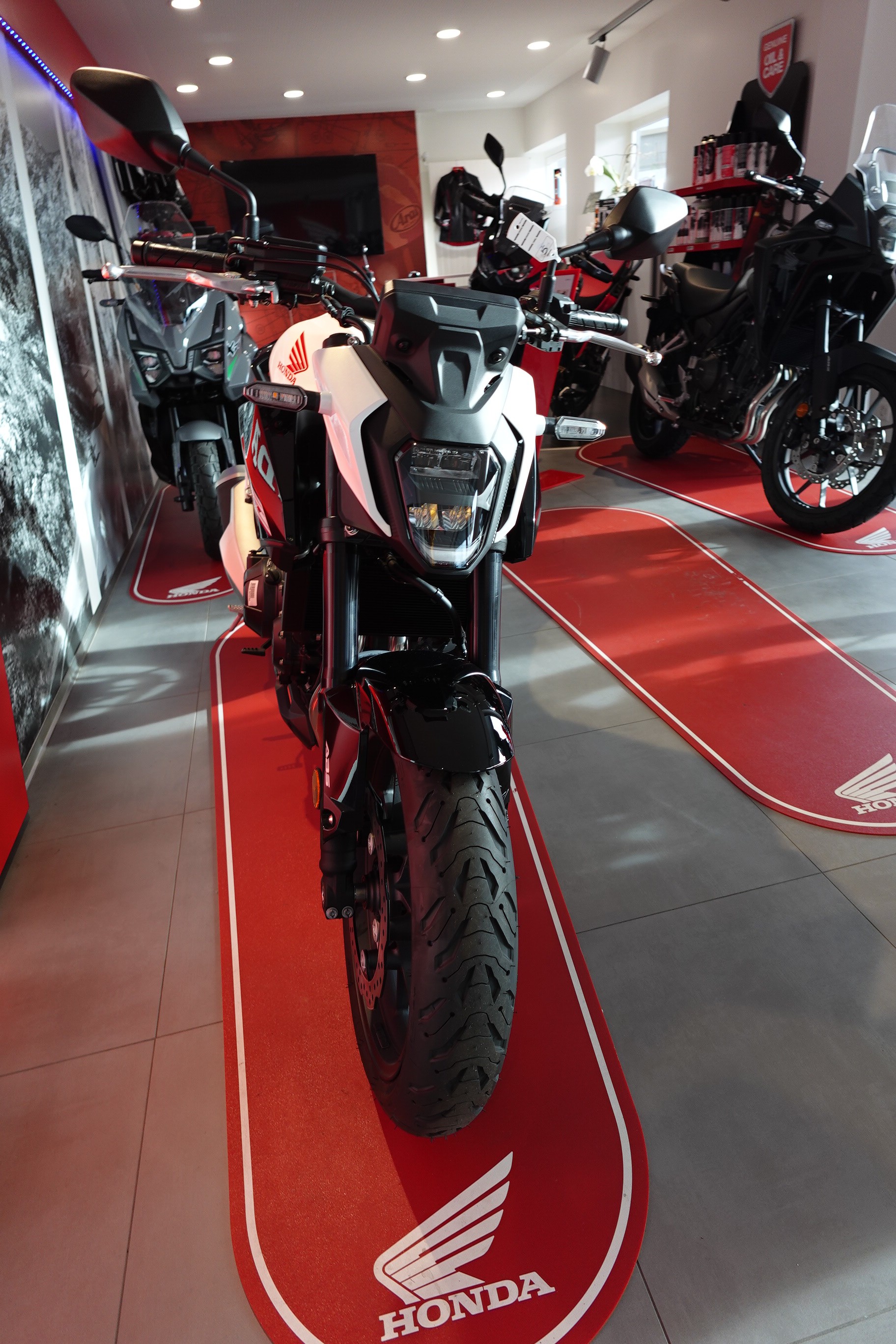 HONDA CB 500 Hornet-image-4