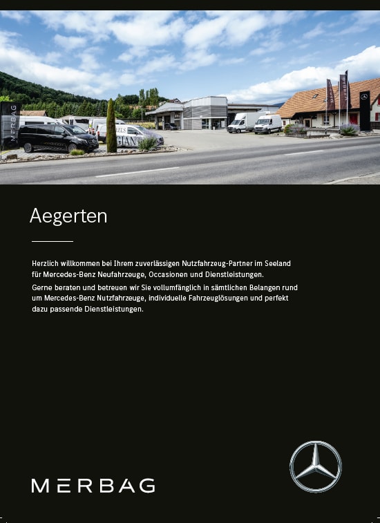 MERCEDES-BENZ V 300 d lang 4Matic Swiss Edition 9G-Tronic-image-17