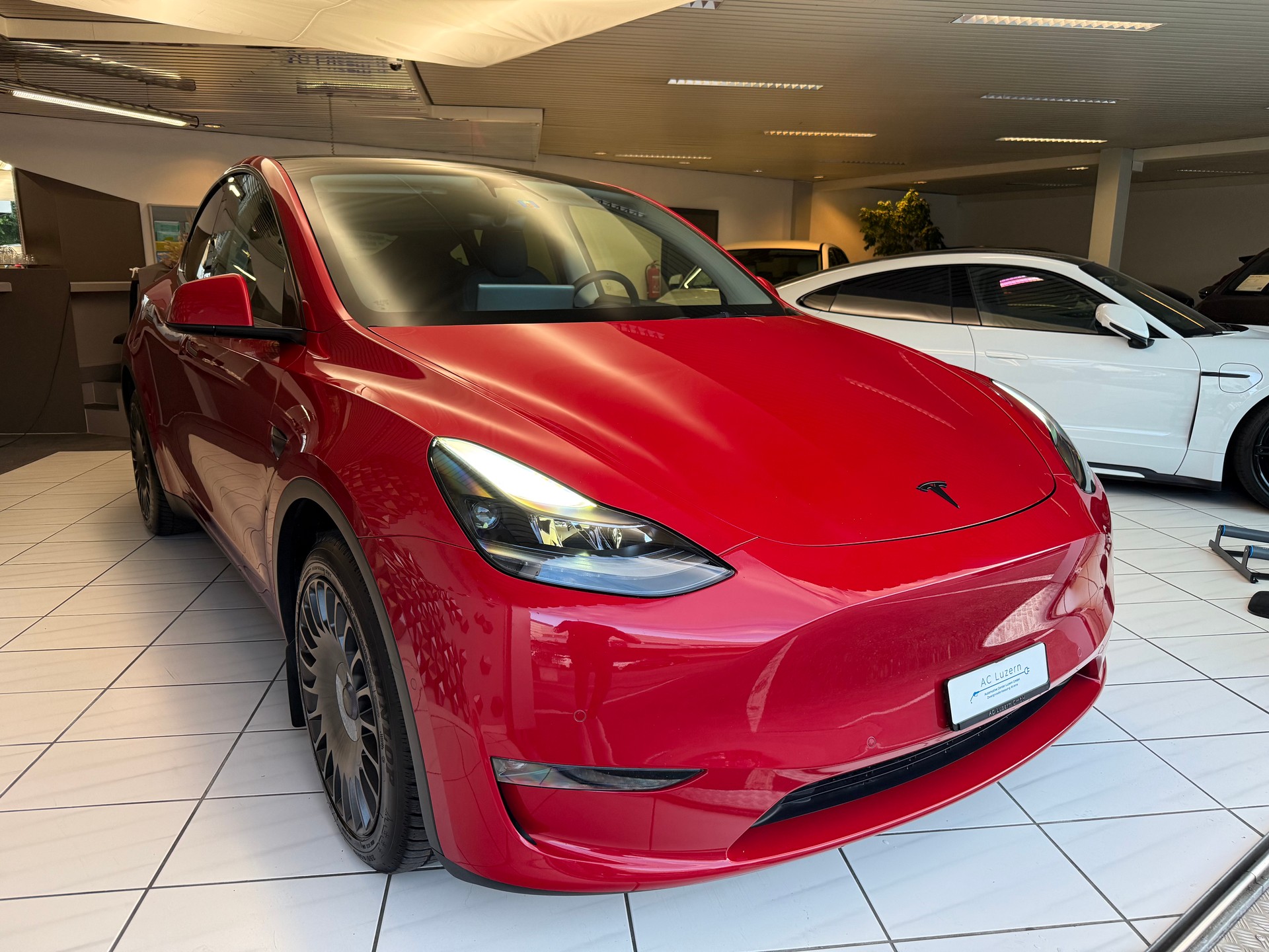 TESLA Model Y Long Range-showroom-element-3
