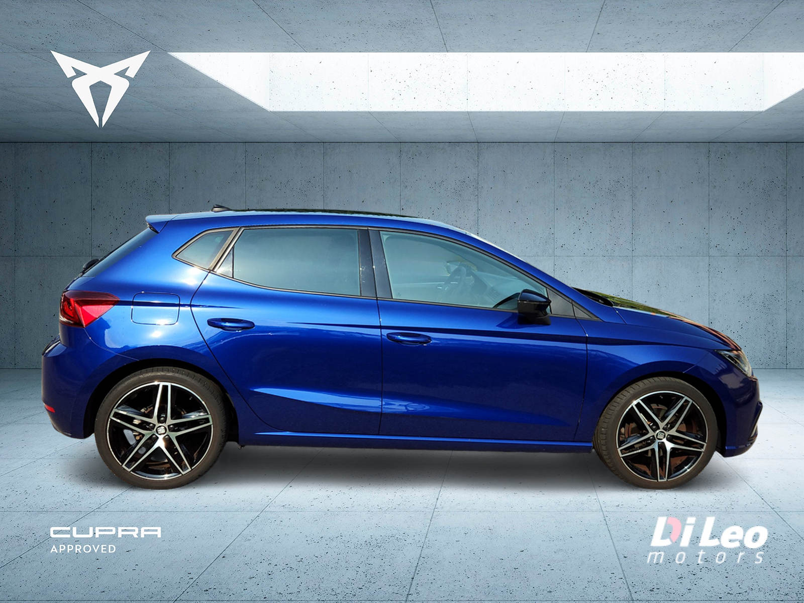 SEAT Ibiza 1.0 EcoTSI Hola FR DSG-image-3