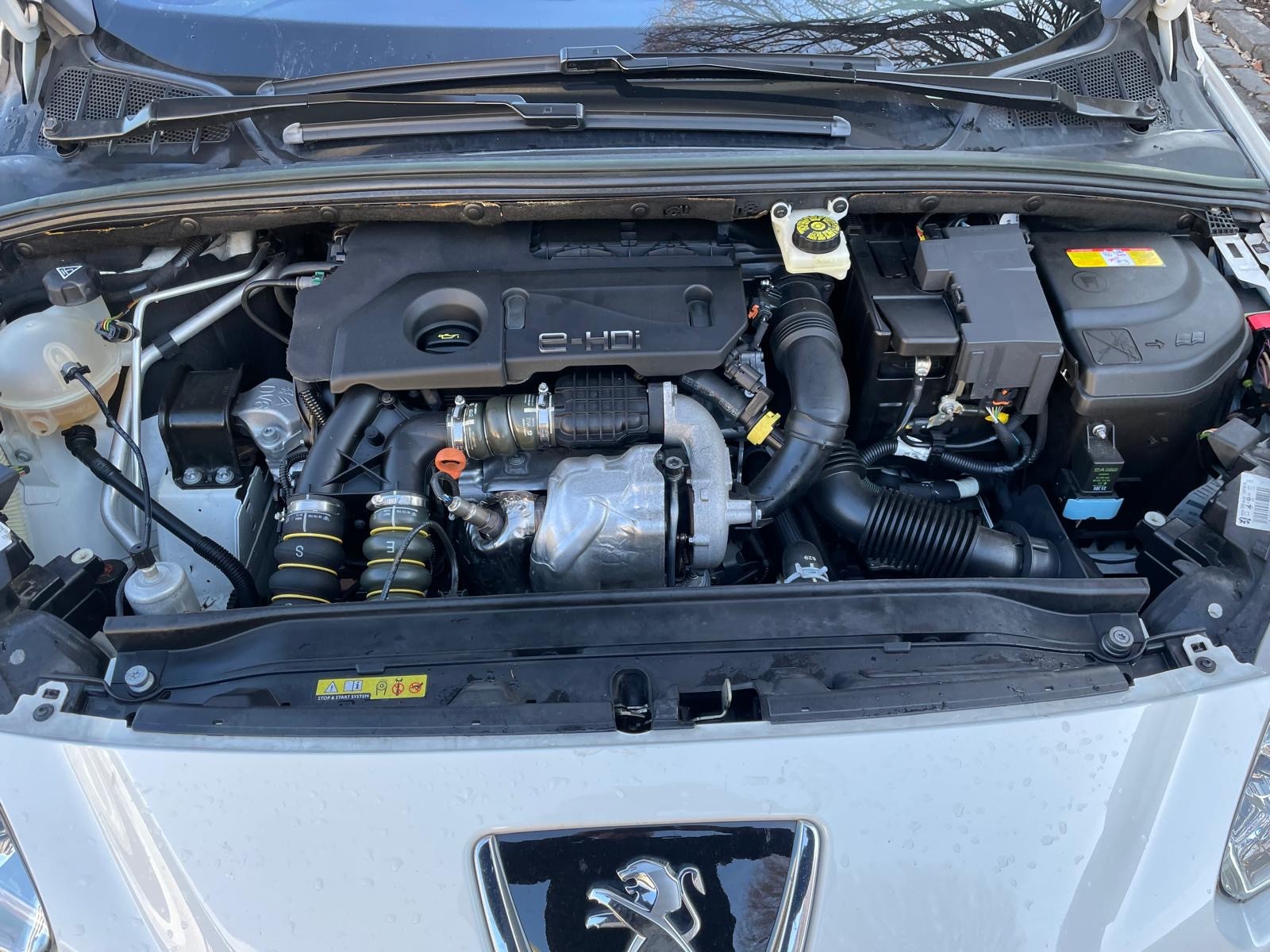 PEUGEOT 308 SW 1.6 HDI Active EGS6-image-10