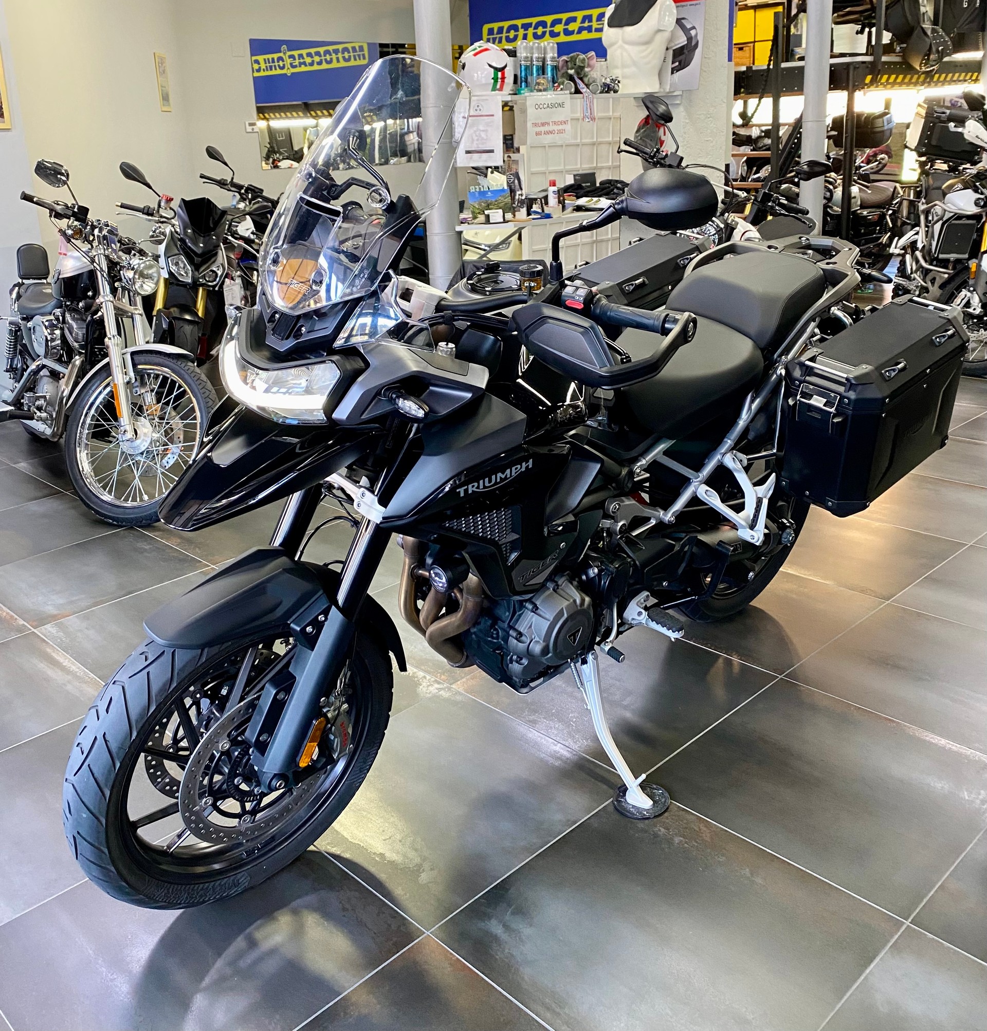 TRIUMPH Tiger 1200 GT Pro MY 2025-image-3