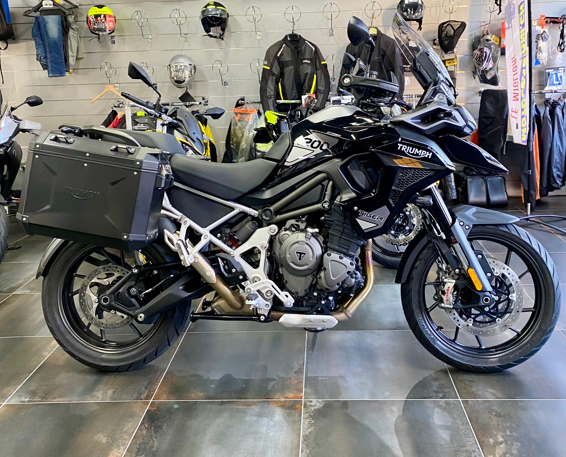 TRIUMPH Tiger 1200 GT Pro MY 2025-image-0