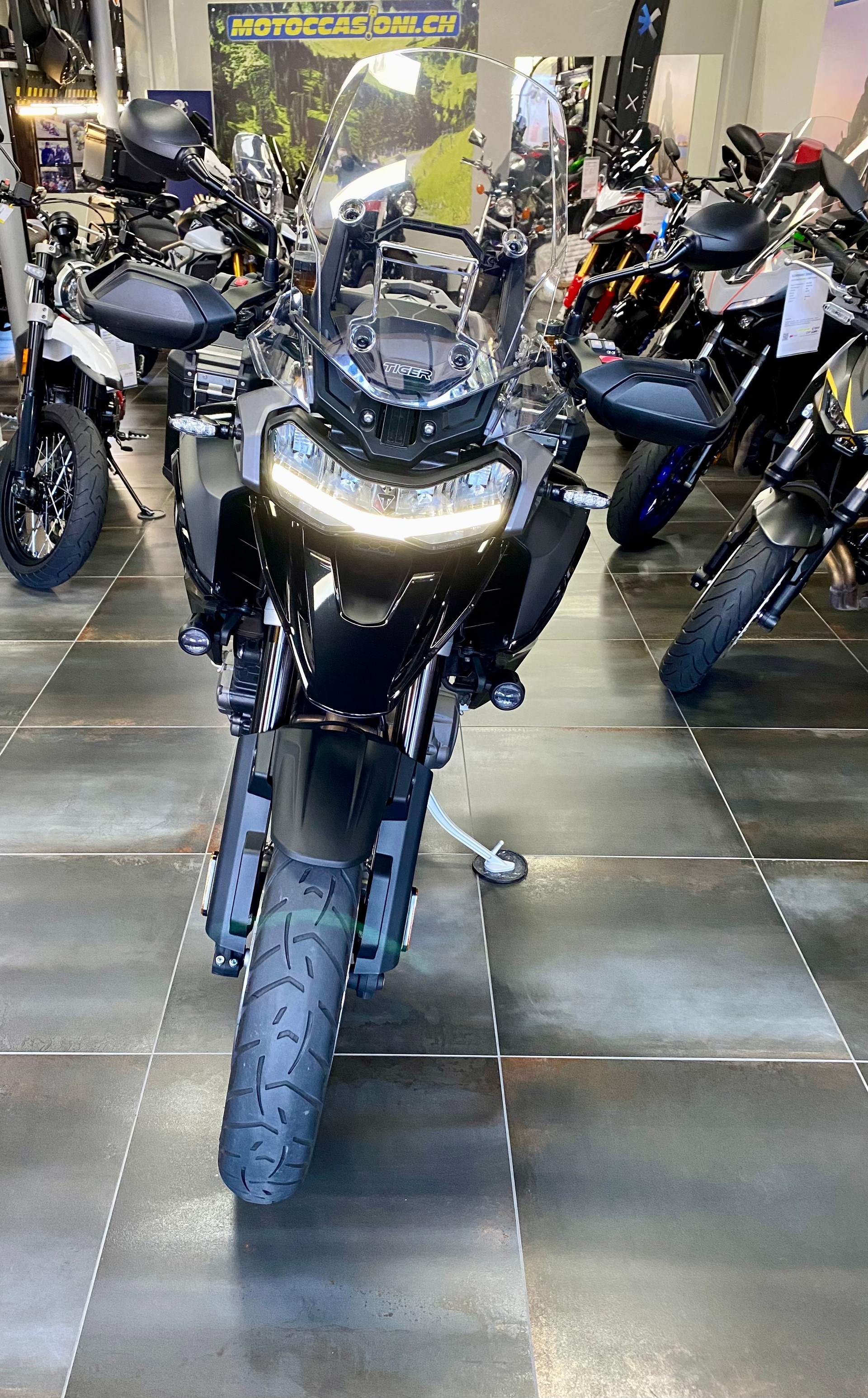 TRIUMPH Tiger 1200 GT Pro MY 2025-image-1